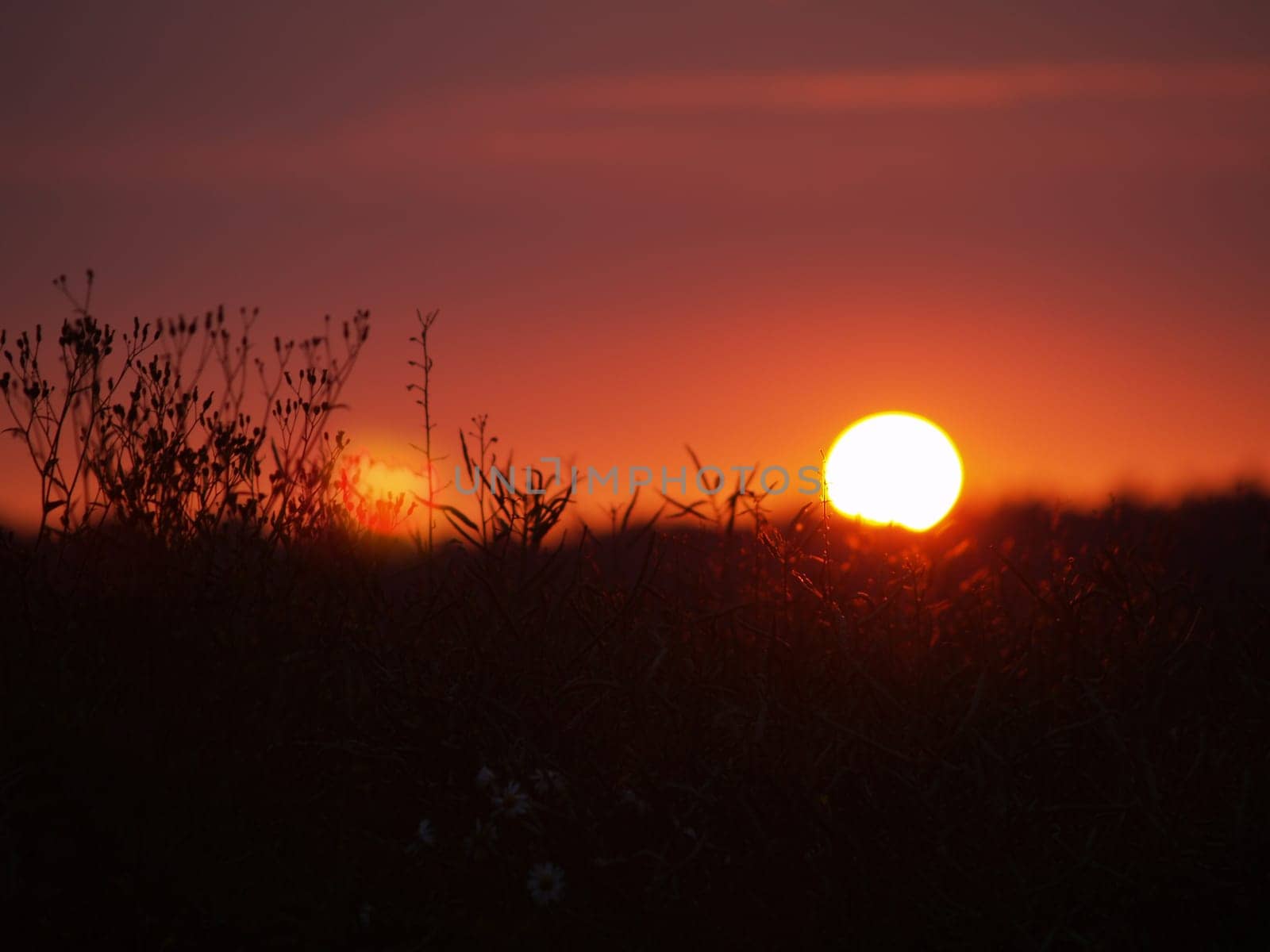 sunset or (sunset beach) or (sunset nature) or (sunset skyline)
