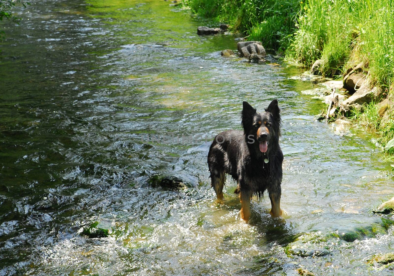 Refreshment
