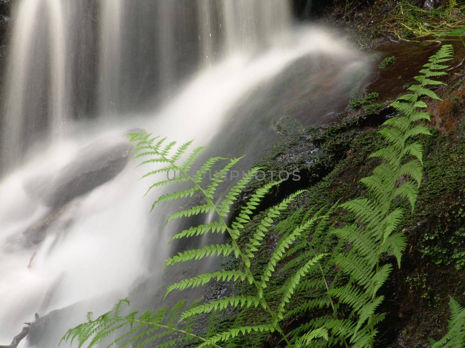 Muglbach waterfall in the Upper Palatinate Forest (Bavaria)