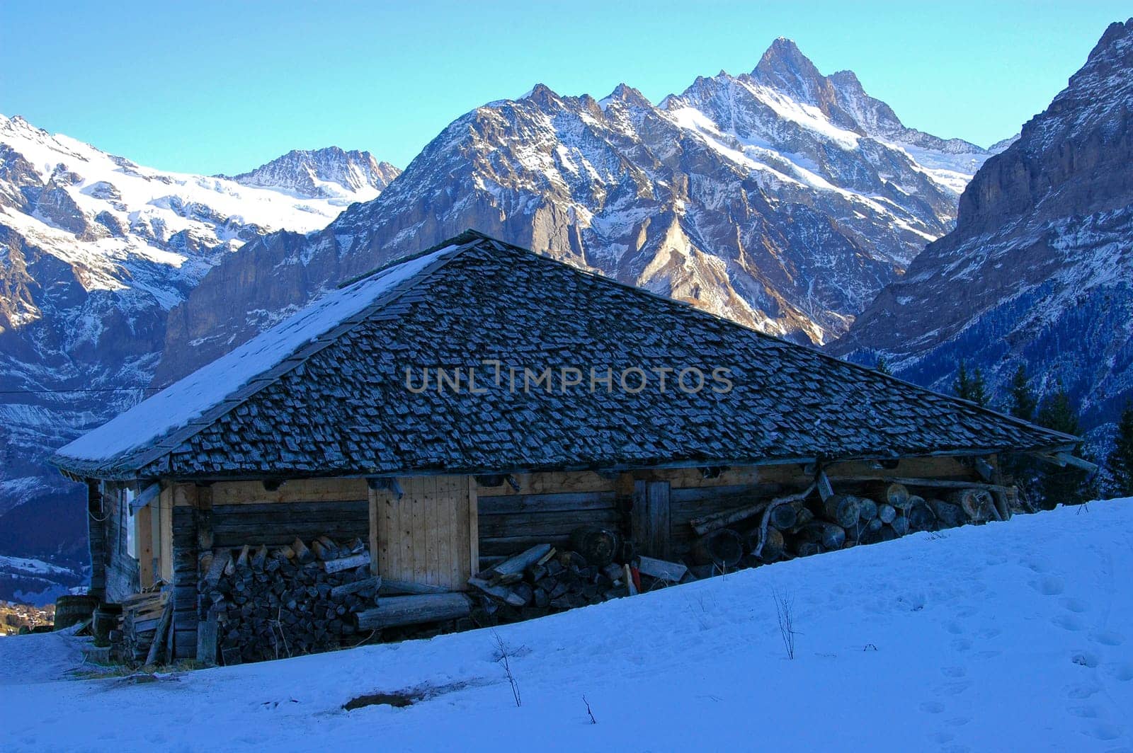 View of the Schreckhorn (4,078 m),Grindelwald,Bernese Alps,Switzerland