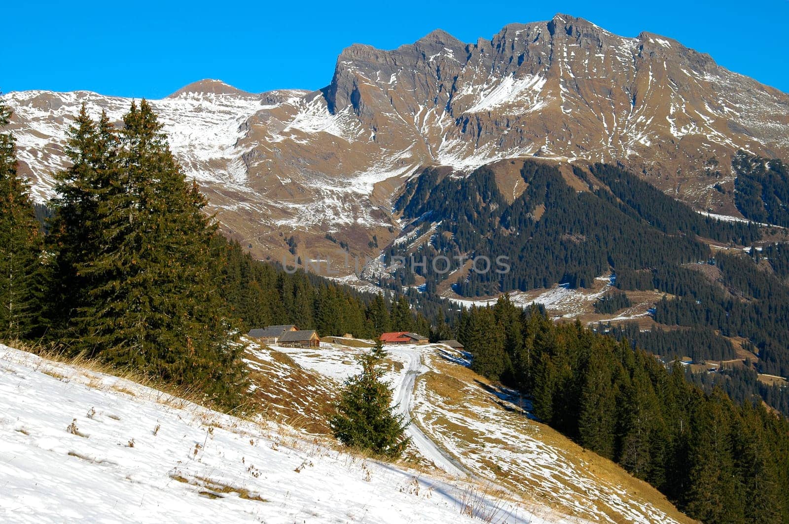 On the Holenstein,view of the Bira summit (2400 m),Winteregg,Grindelwald,Switzerland