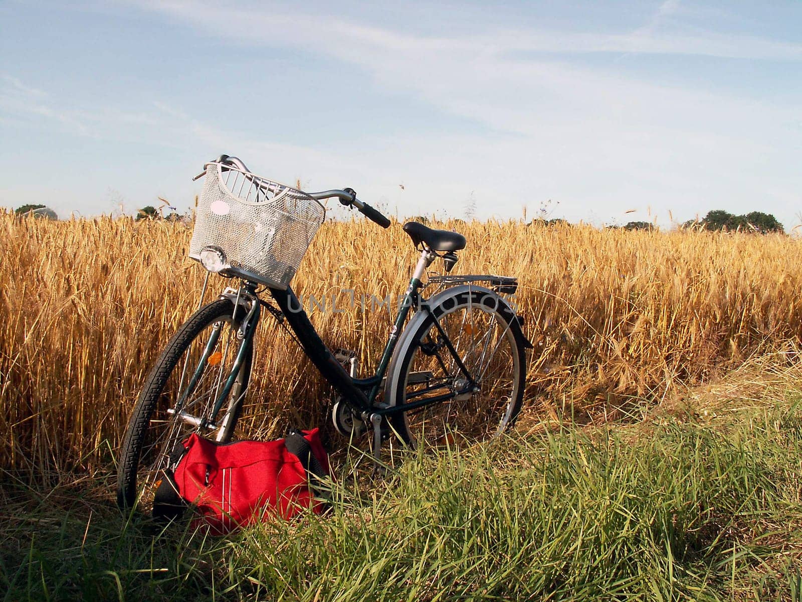 Bike tour to the cornfield