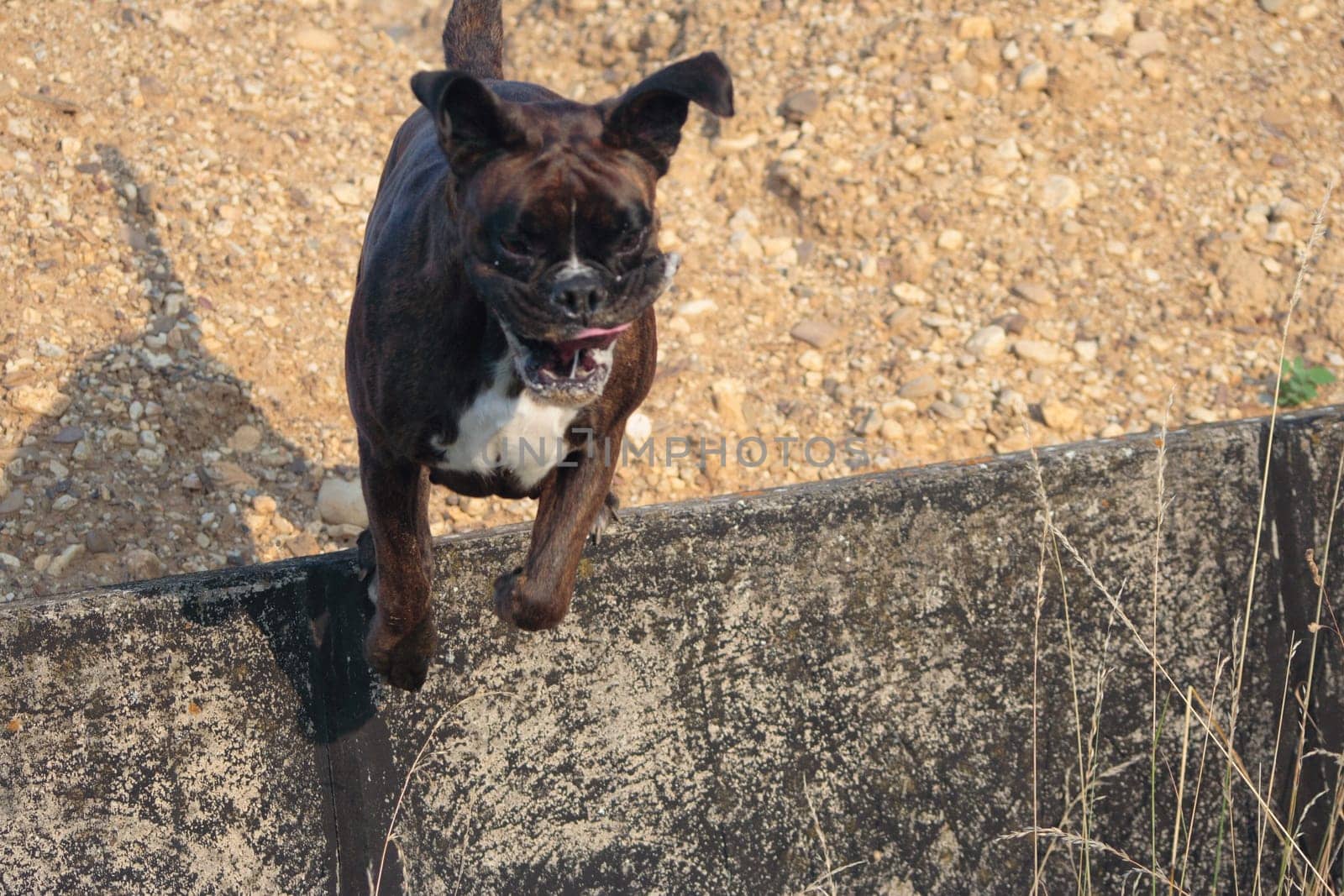 Jump from the wall