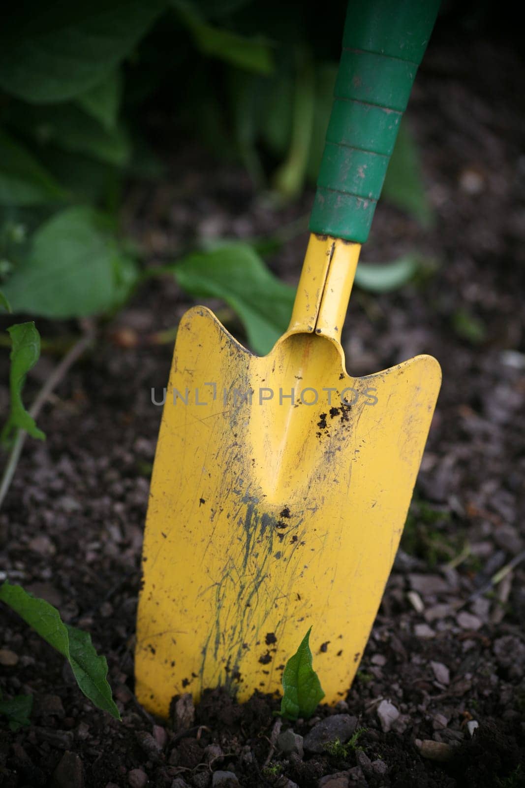 Yellow-green shovel