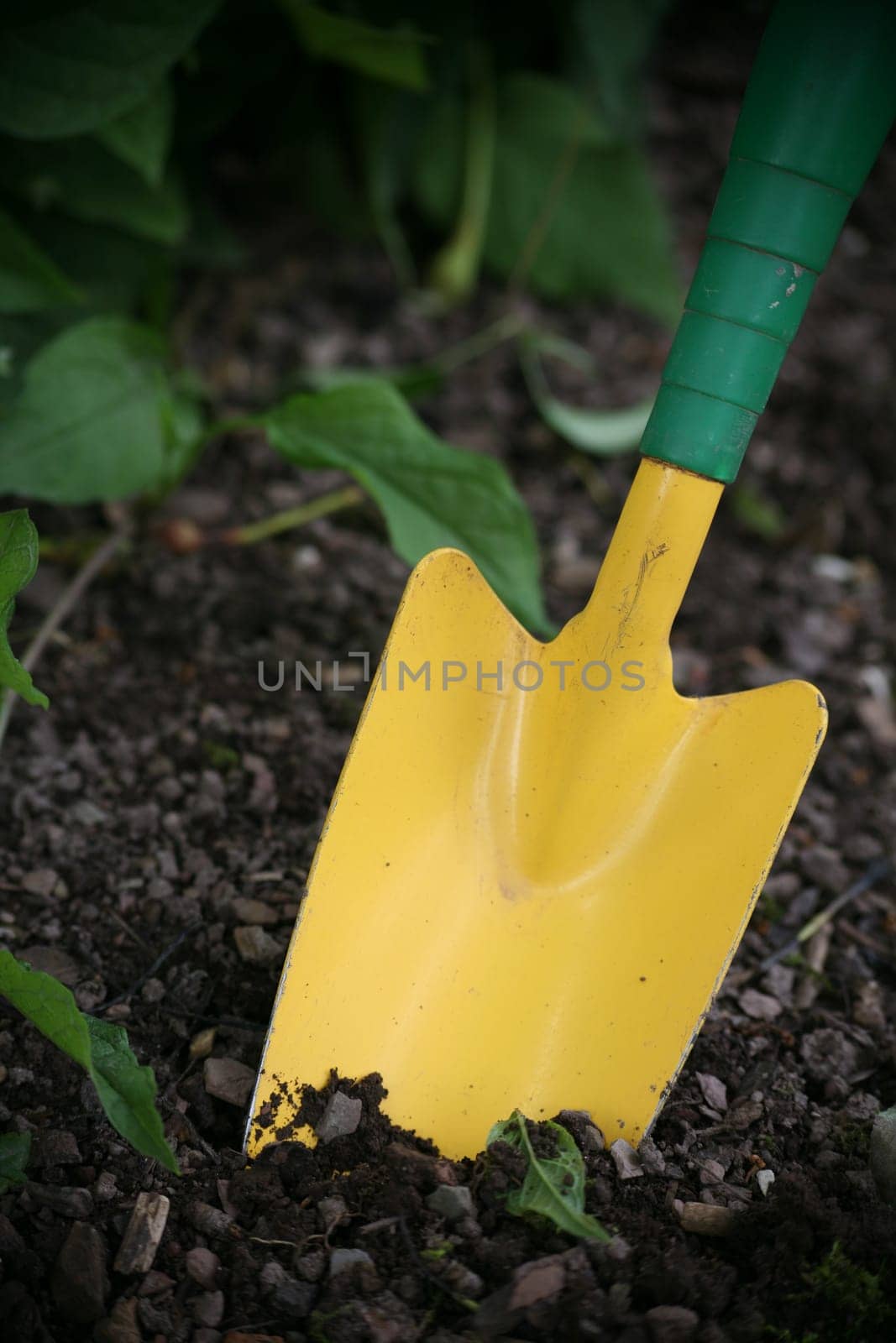 Yellow-green shovel