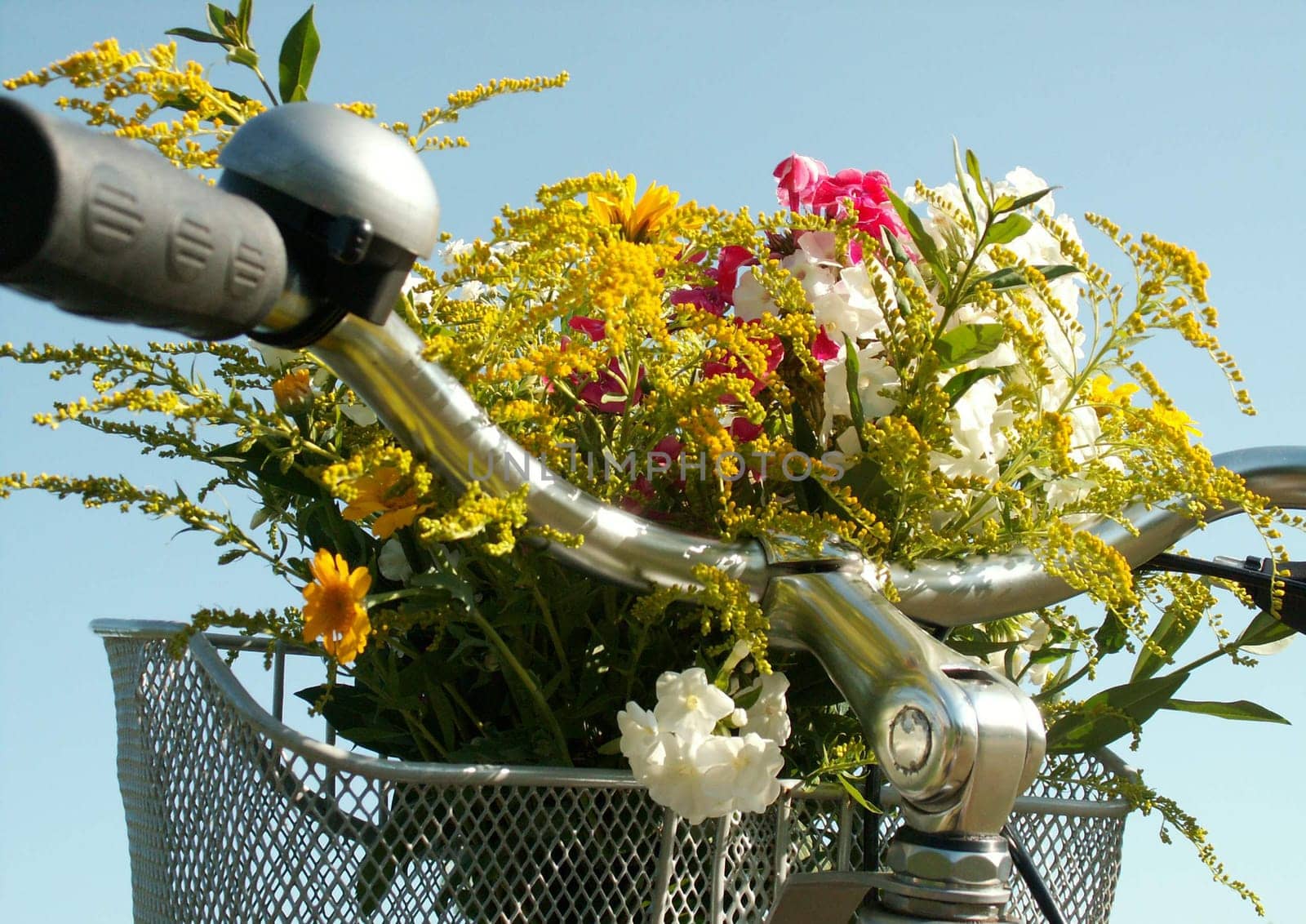 Flower basket