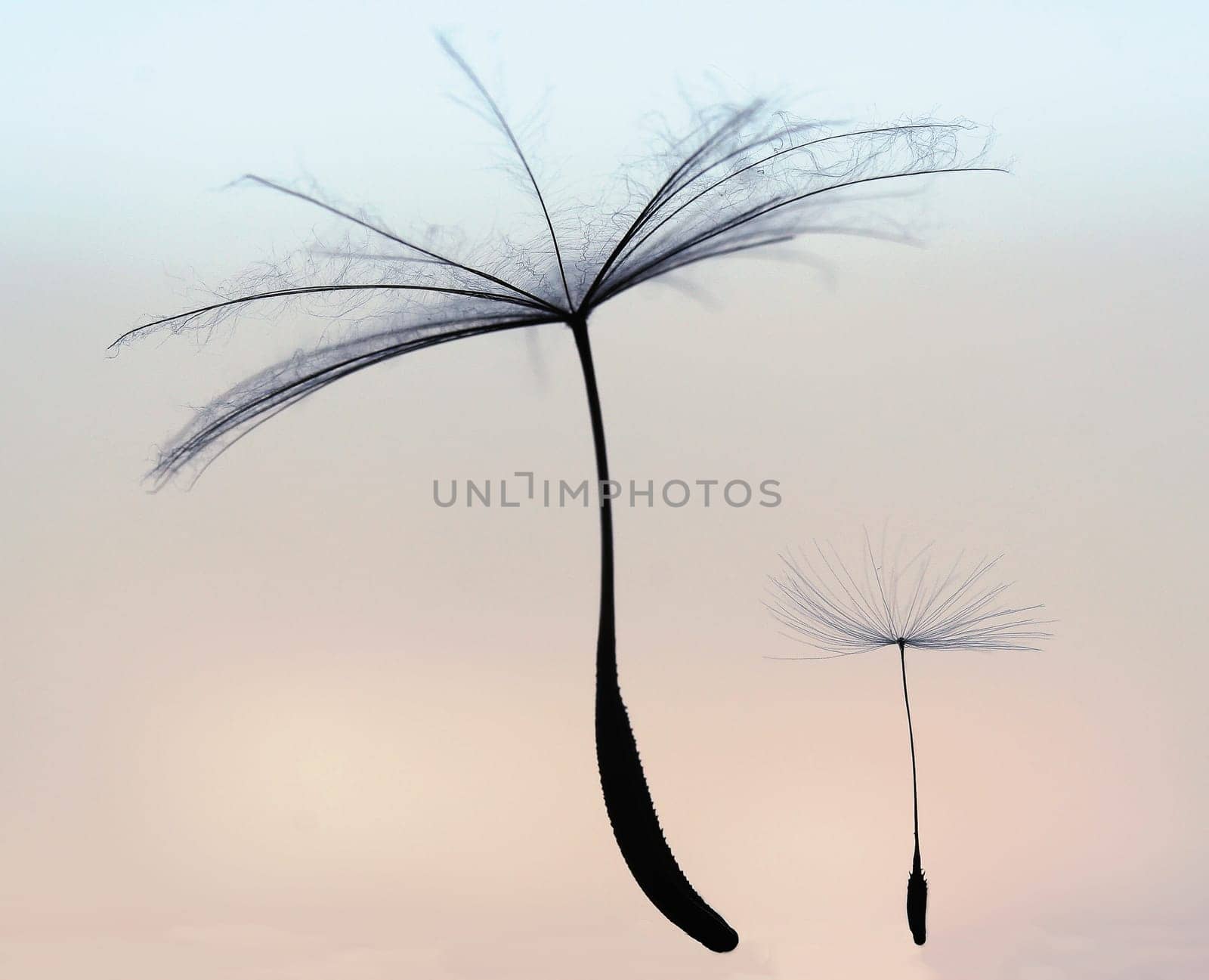 When I grow up II
