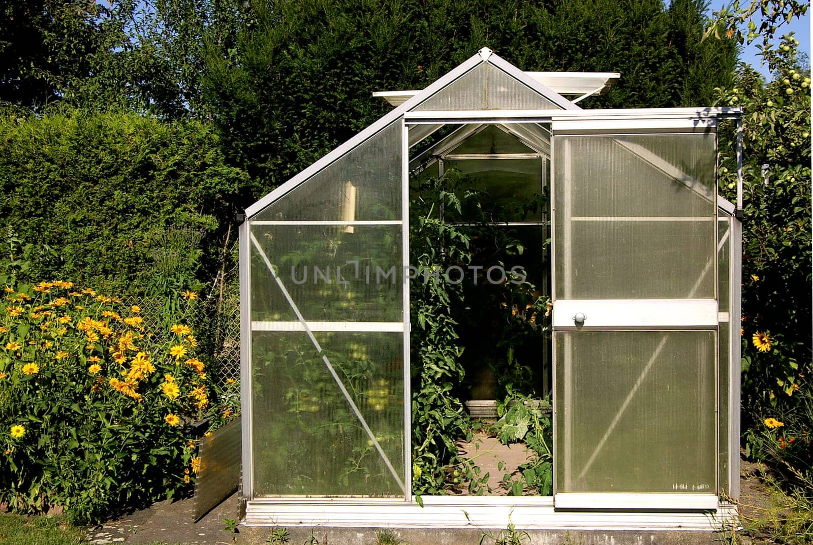 Greenhouse