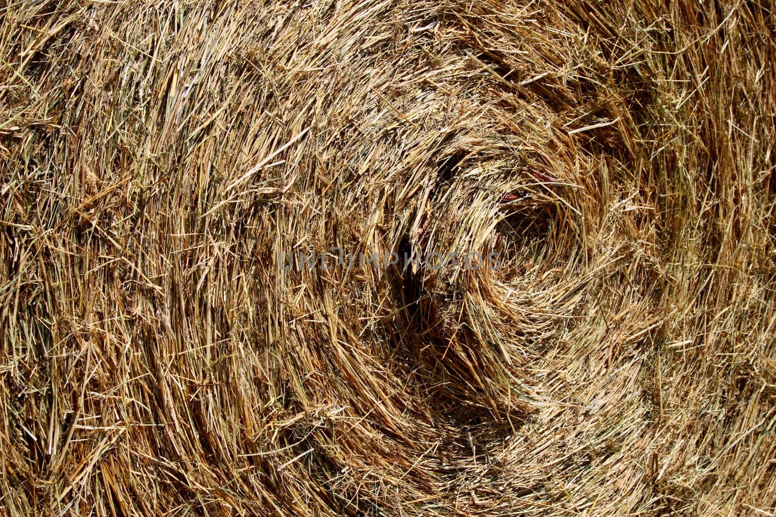 Hay bales up close