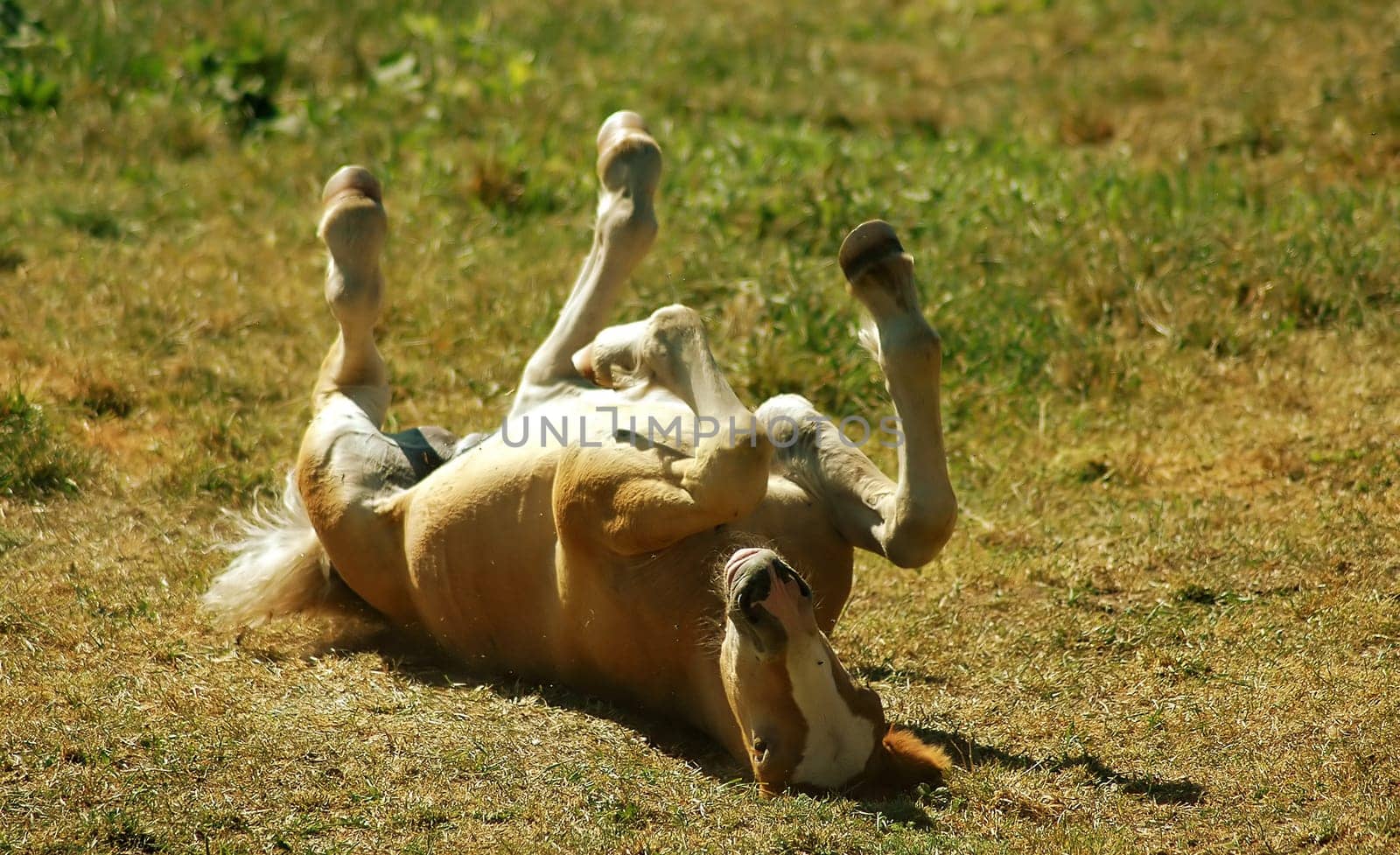 In the greatest midday heat.....!