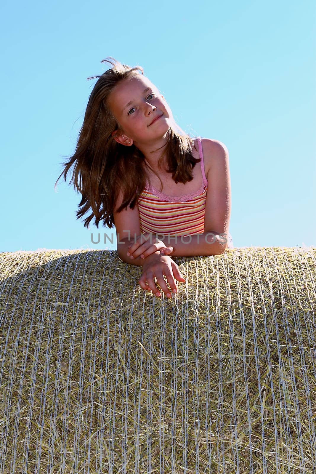 On the hay bale