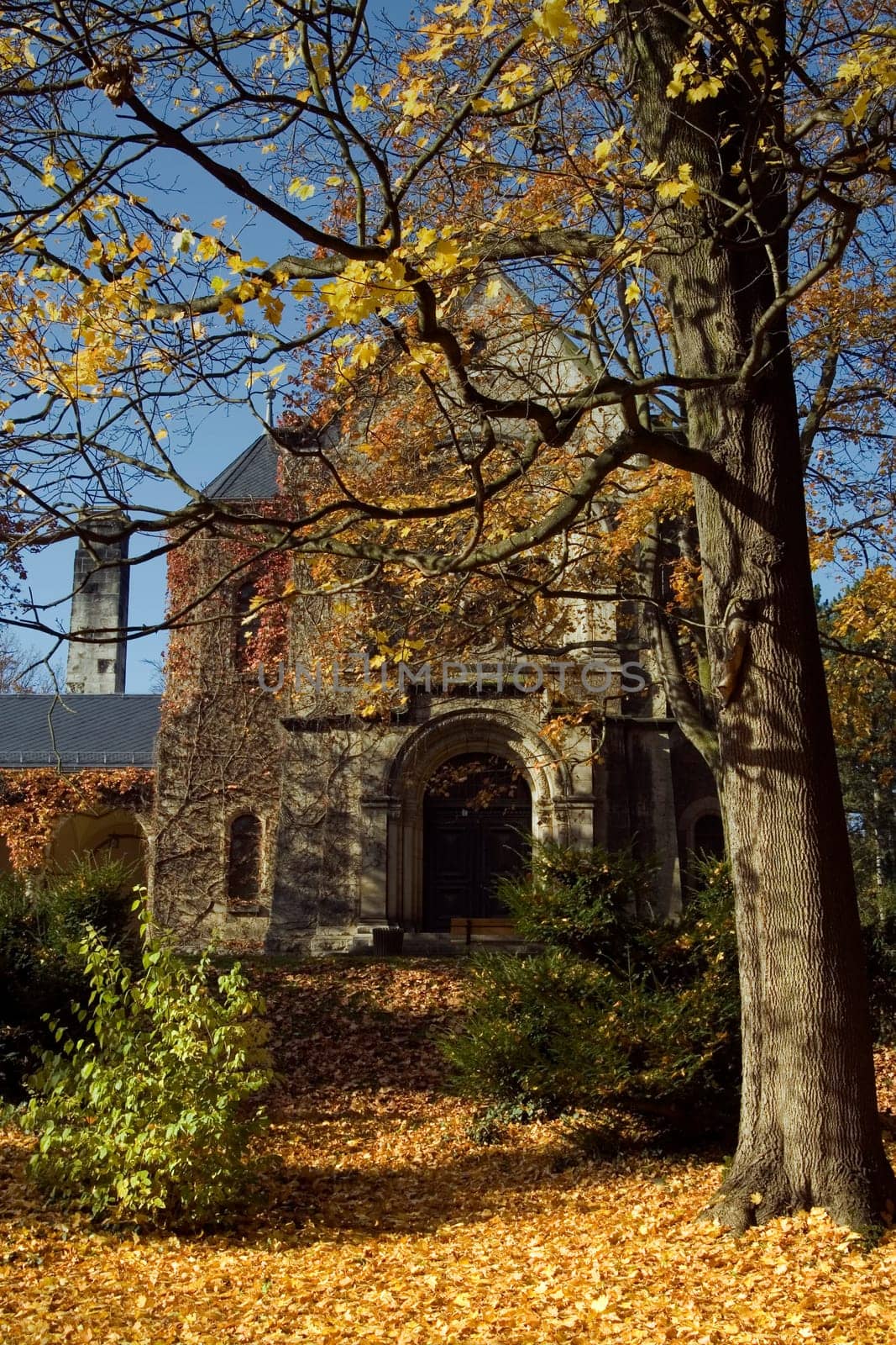 Autumn in Weimar