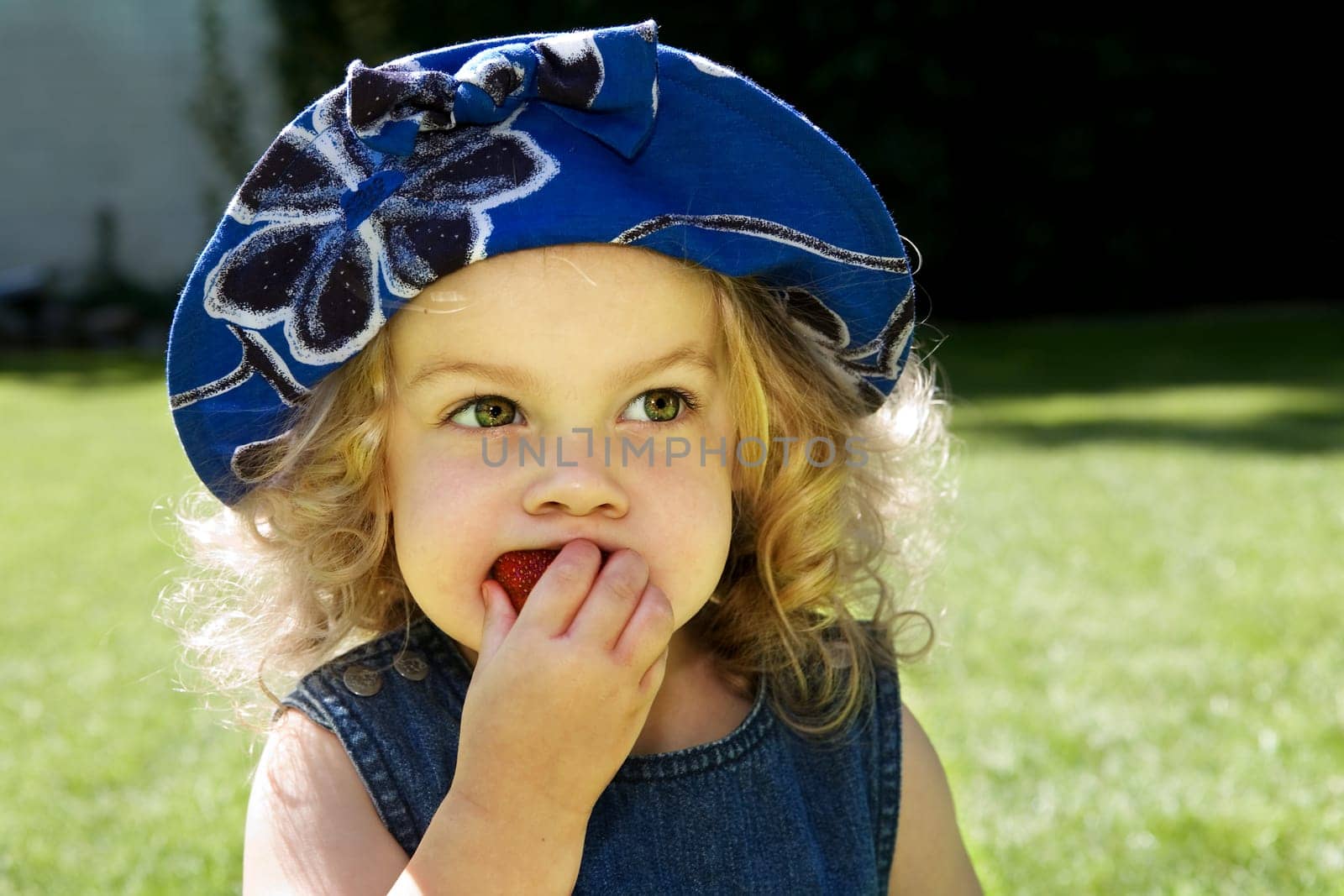 Child bites into a strawberry with relish
