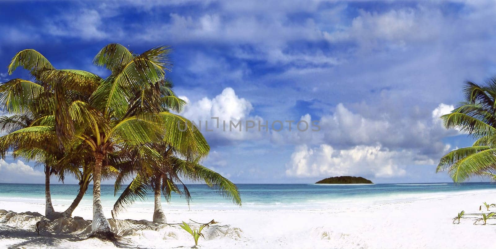 Beach at Punta Allen-Jucatan-Mexico
