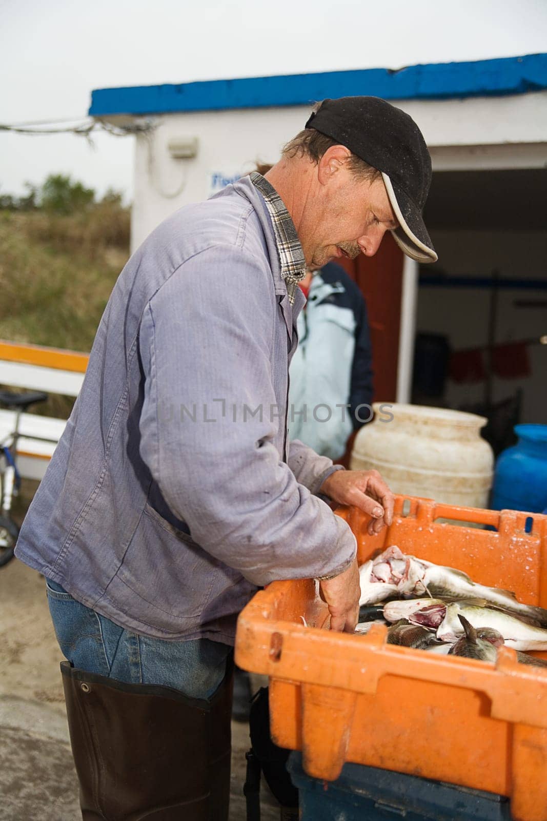 A fisherman sorting fish