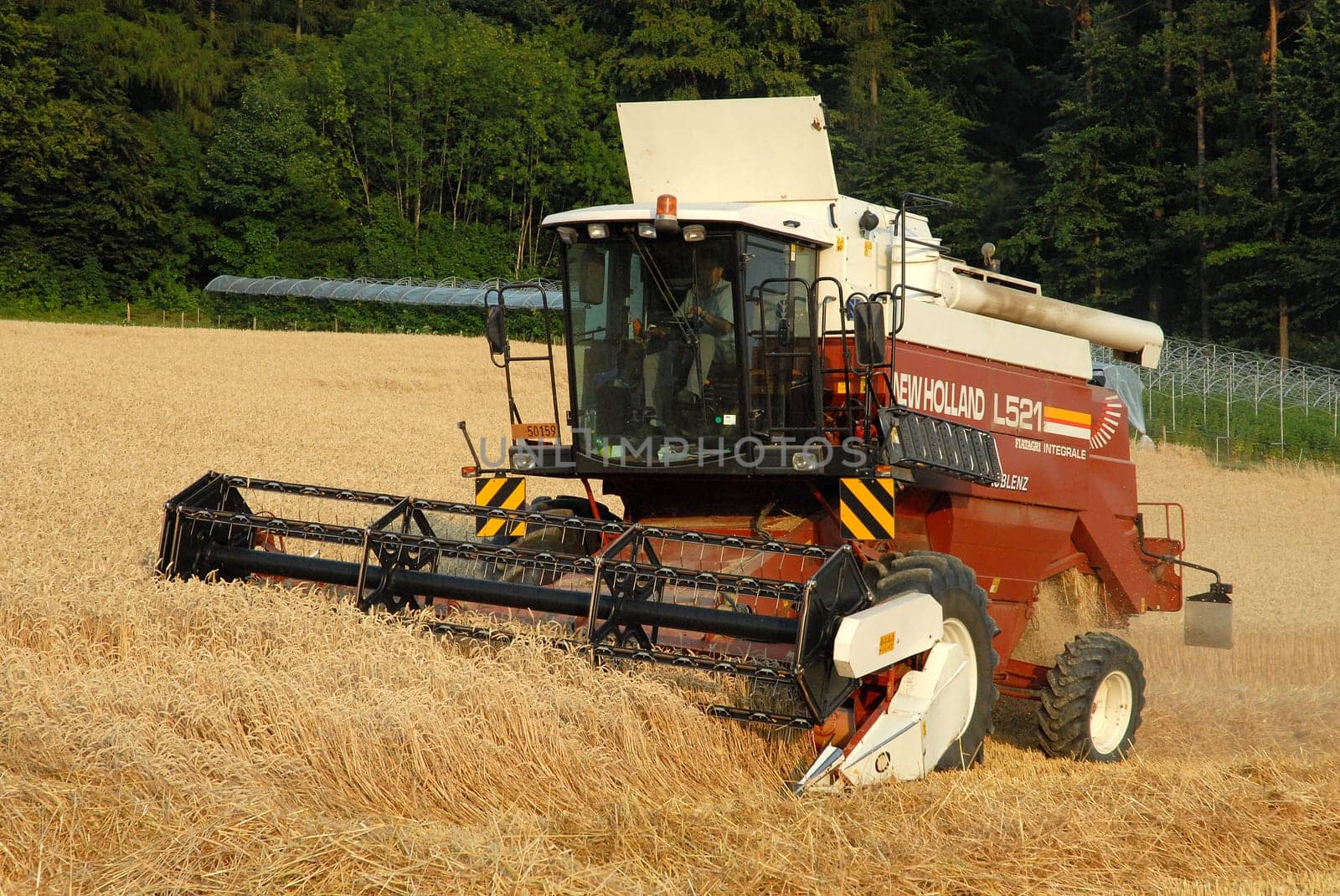 Harvest time