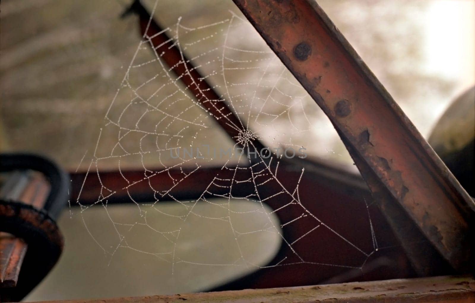 Network