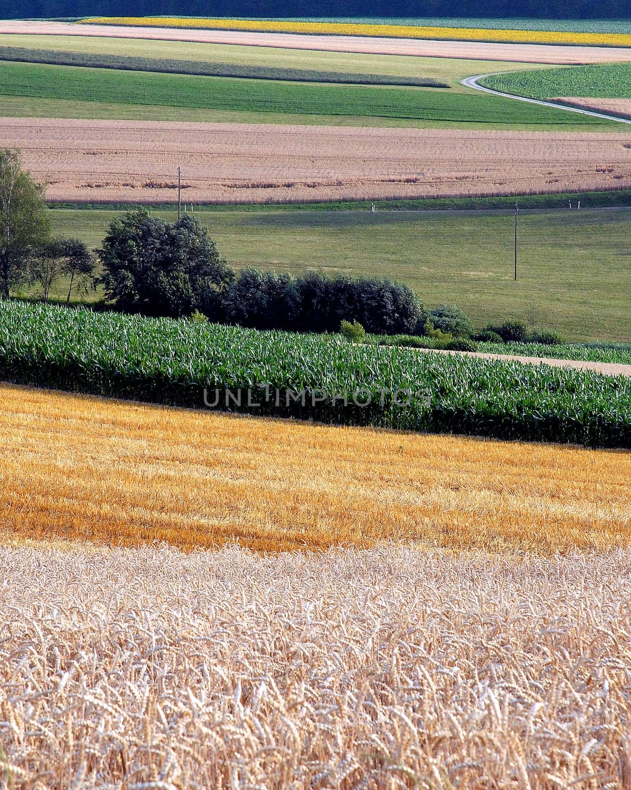 Field geometry