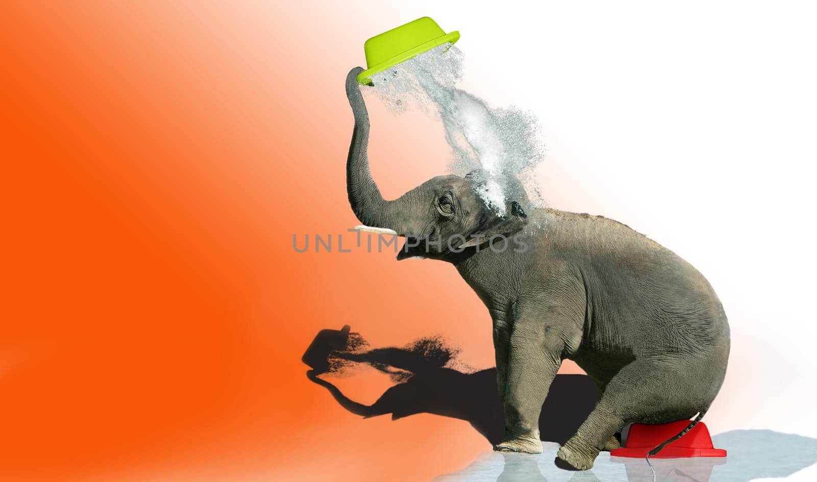 There is no end to the heat. After the foot bath had no effect,my clever elephant came up with a new cooling method.