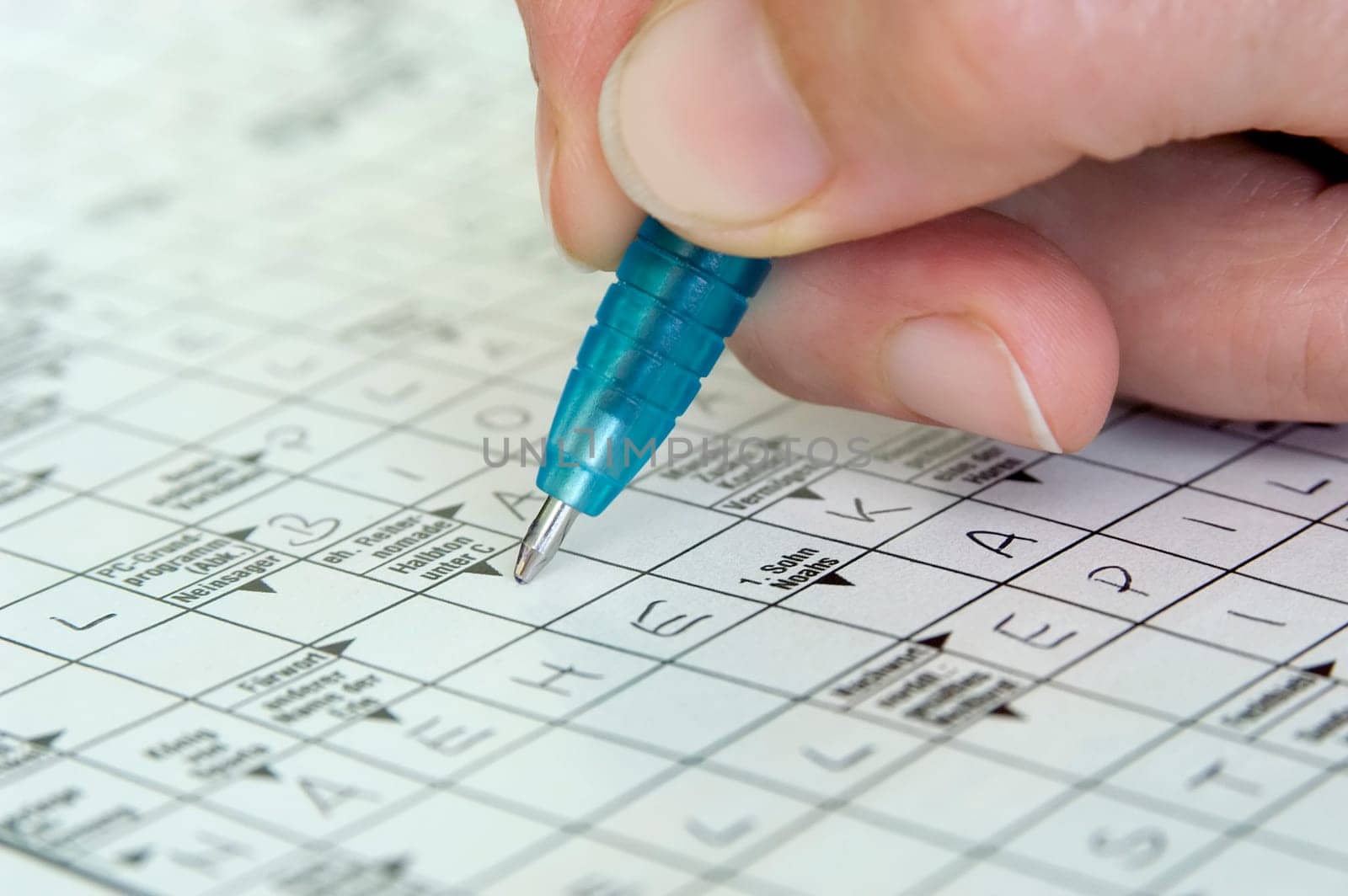 Crossword Puzzle 02