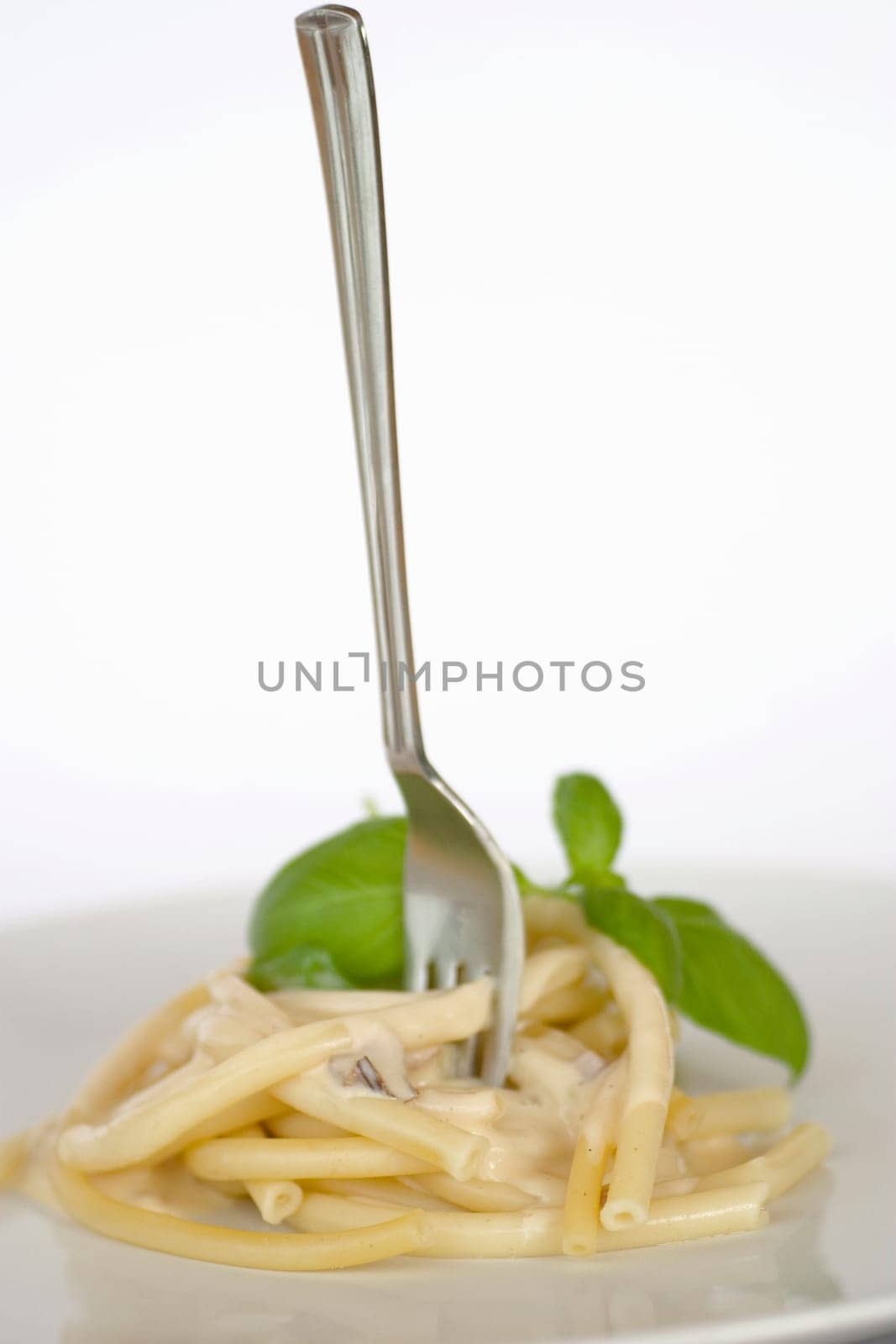 Macaroni with basil