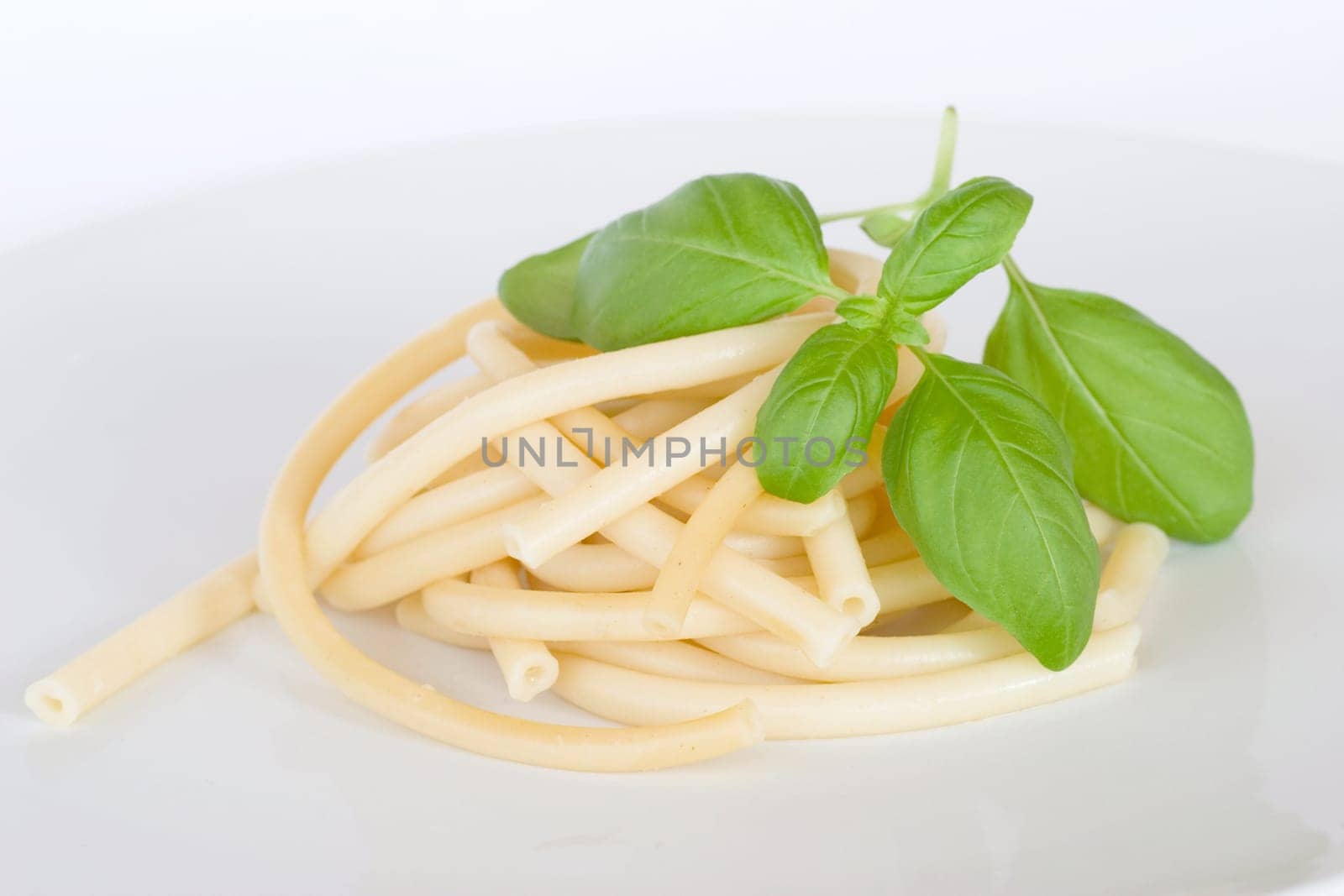 Macaroni with basil