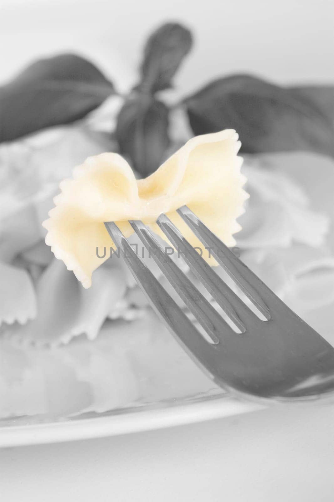 Farfalle on white background with basil