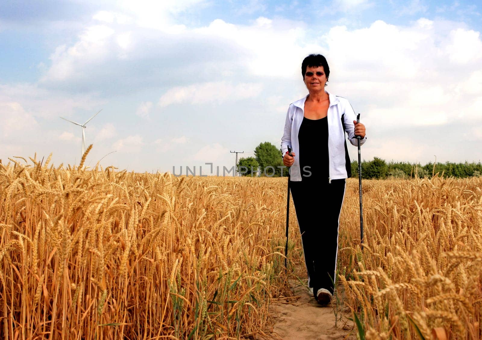 through the cornfield