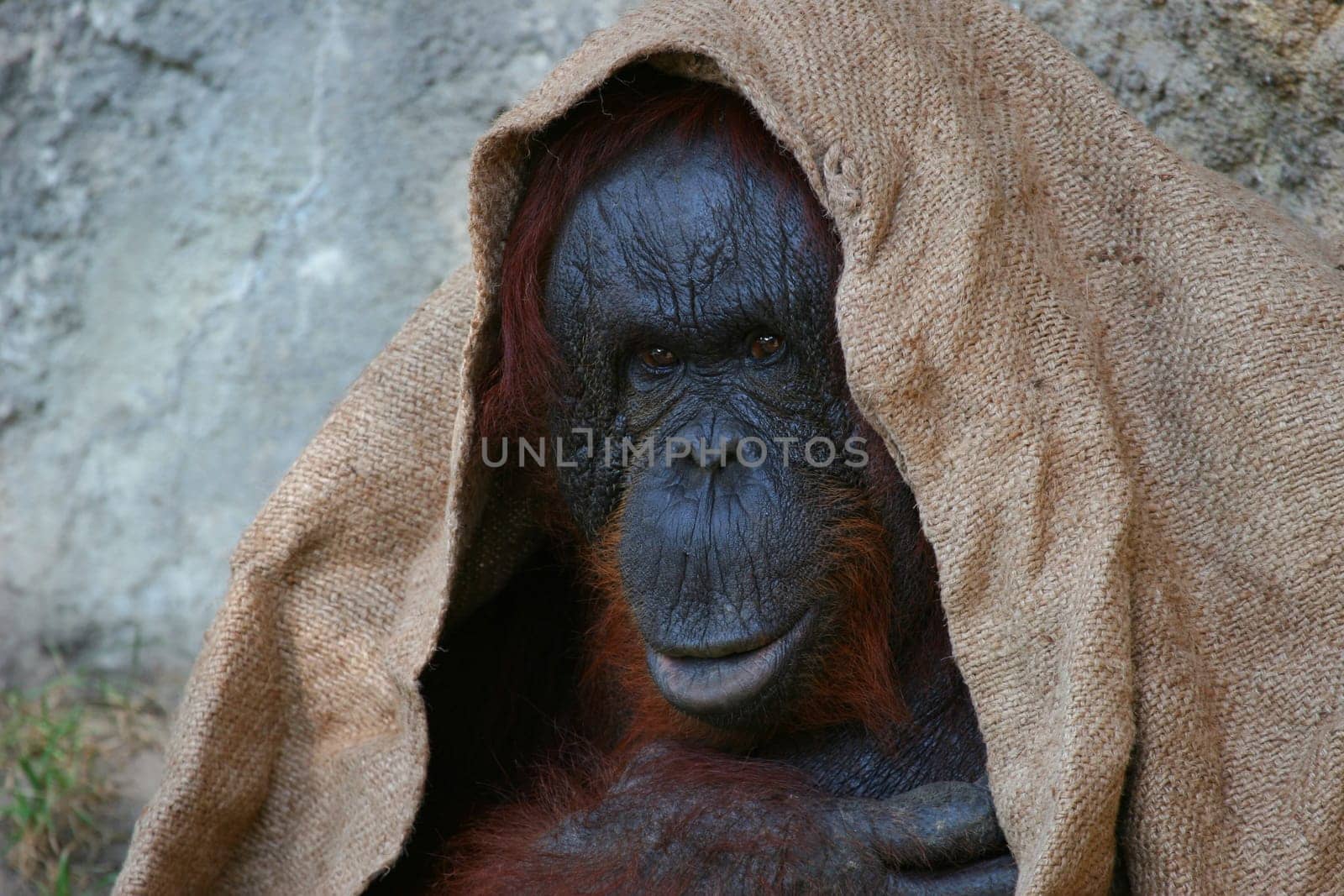 Result of a photography course at the zoo.
