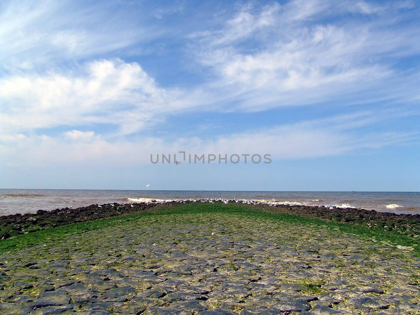 Groyne