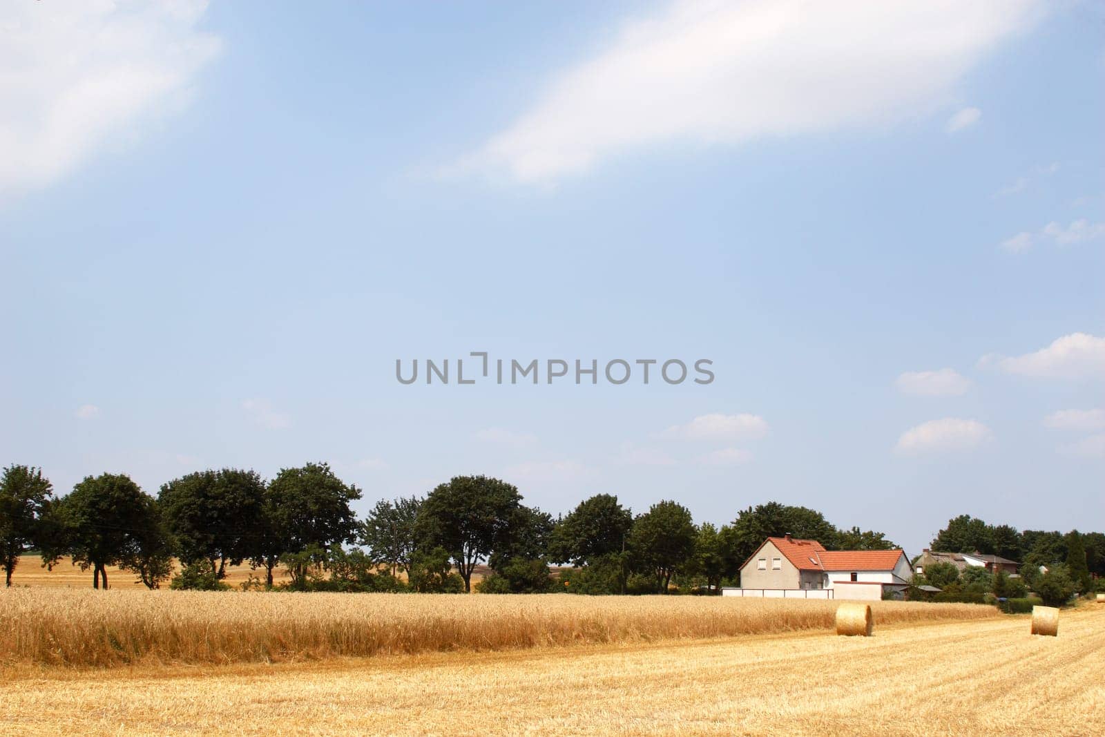 farmstead