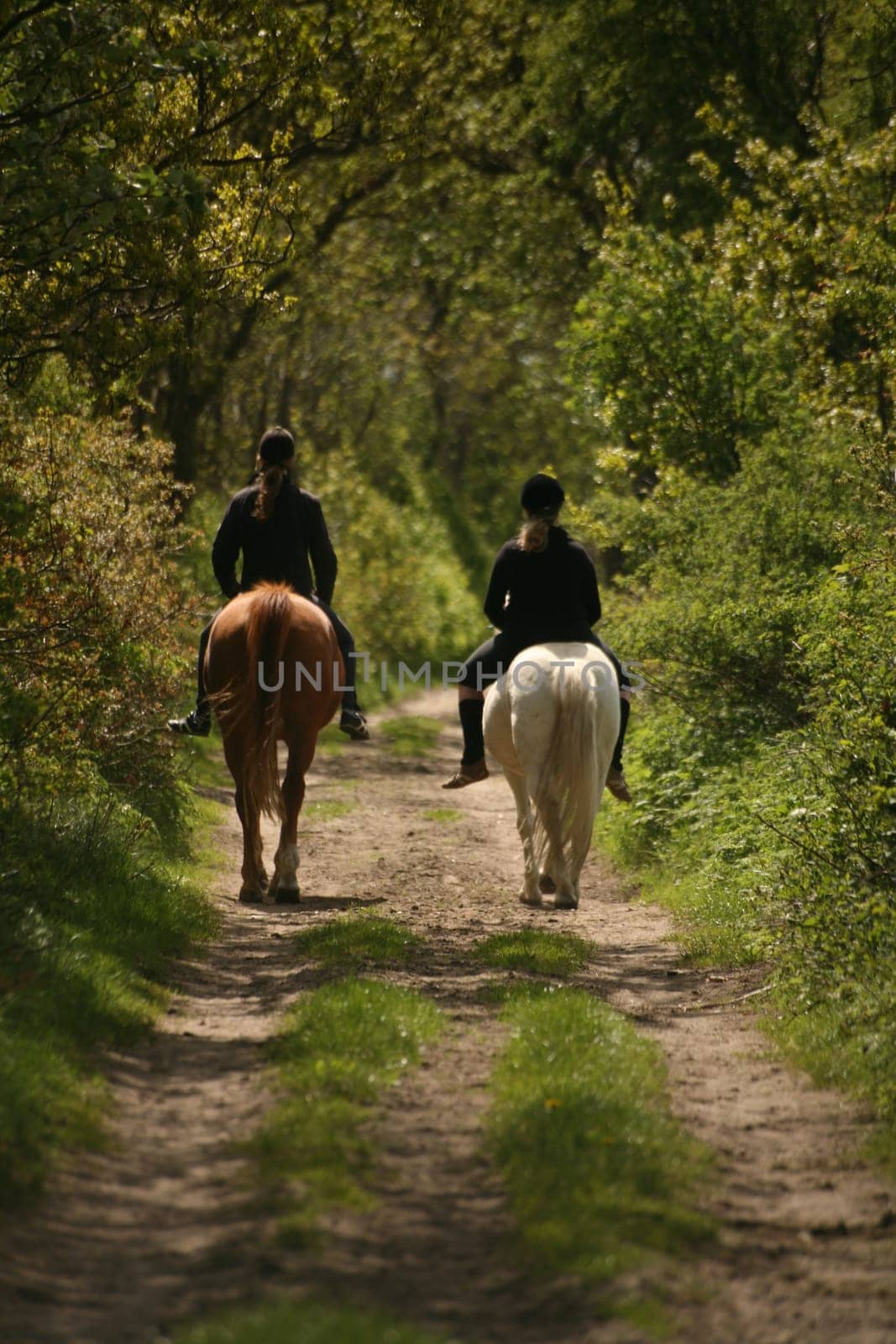 Two girls on horses on an idyllic dirt road