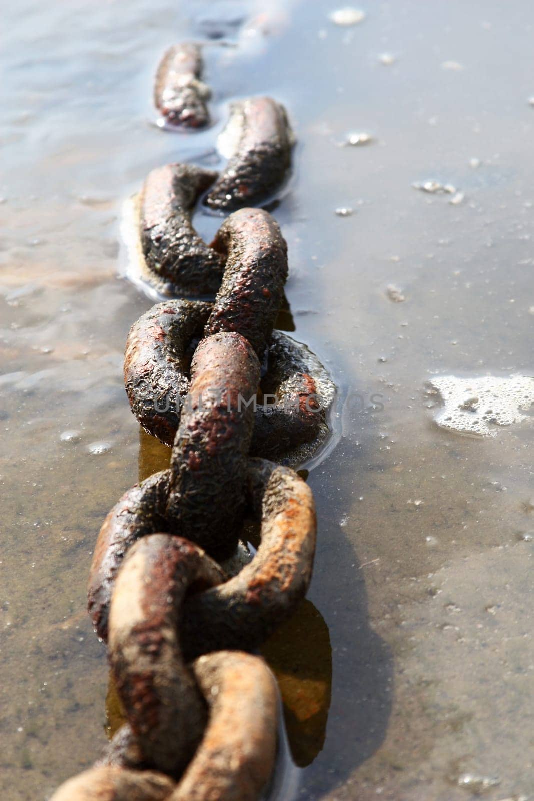 Chain links