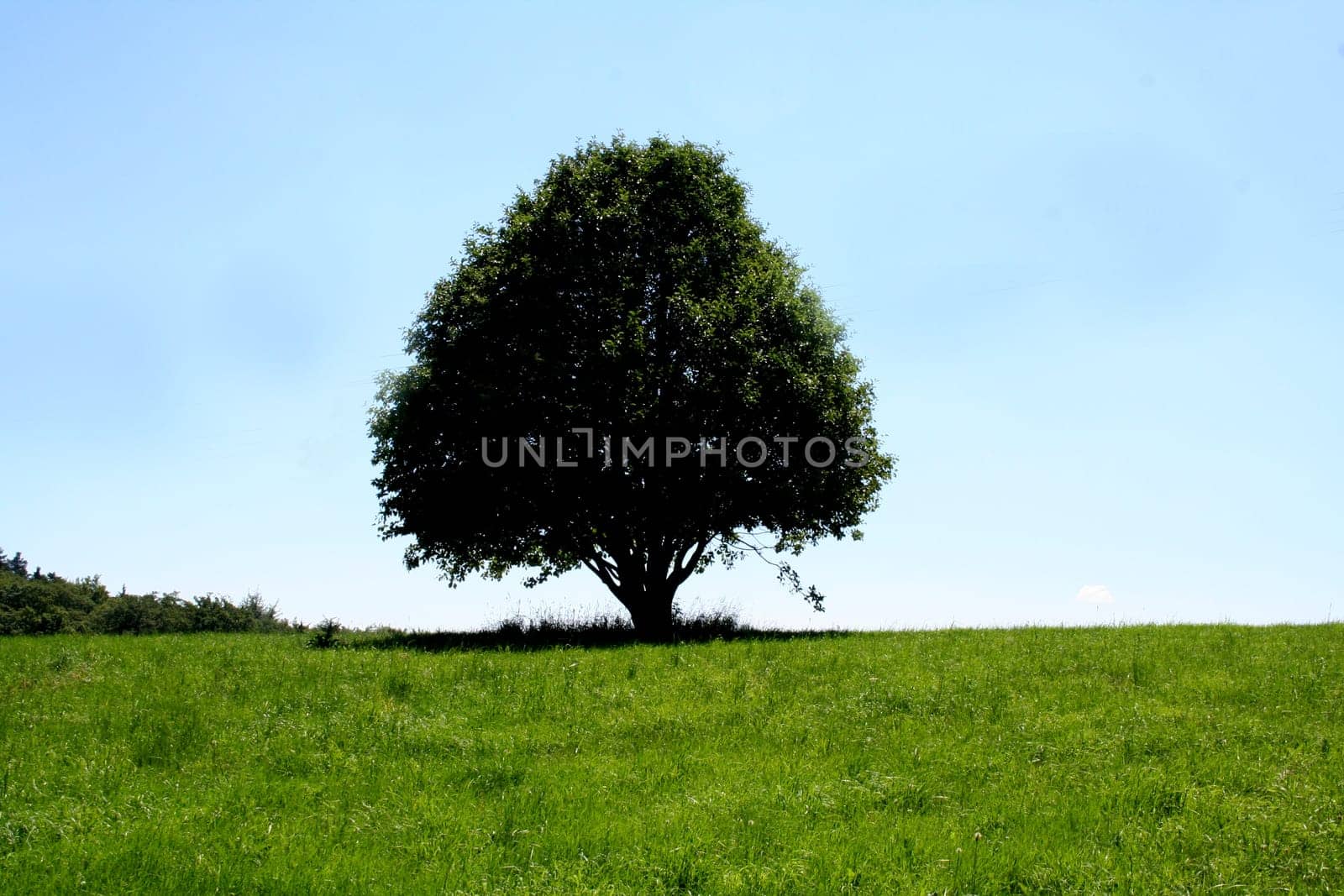 I'm alone
