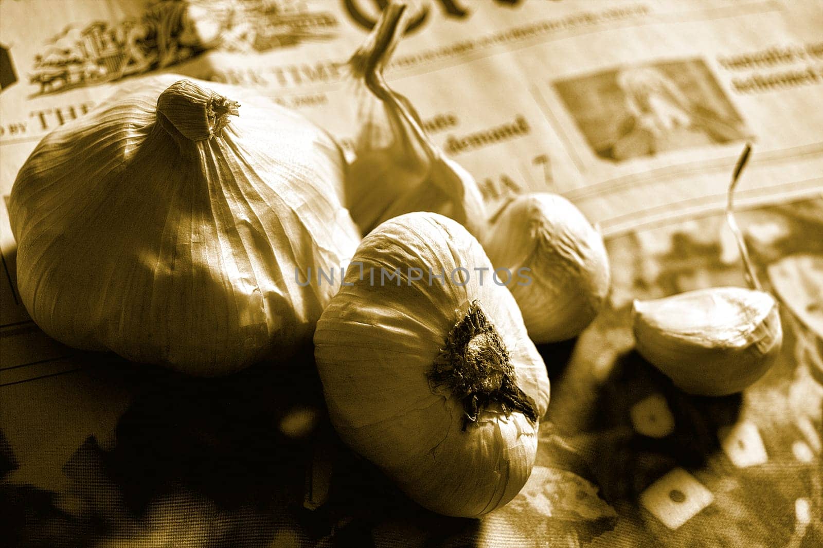 knoblauch
