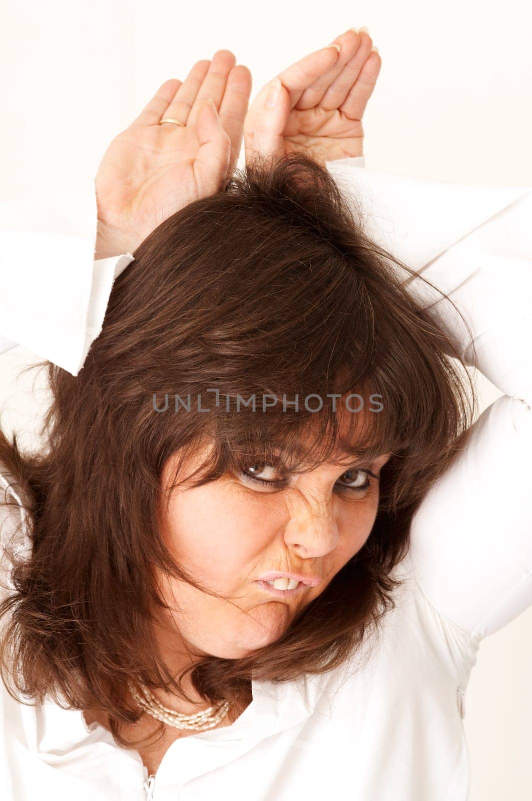 ein hase