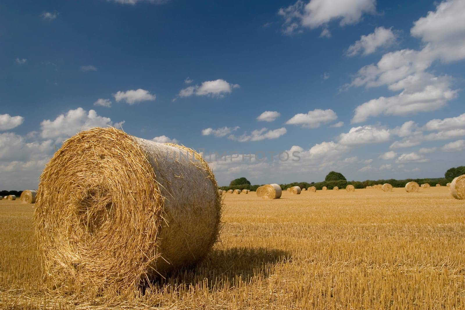 Straw bale in sunlight 3