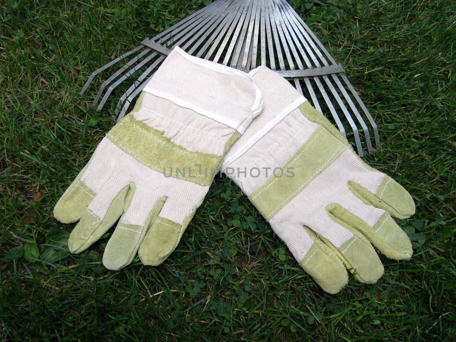 Occupational health and safety in the garden