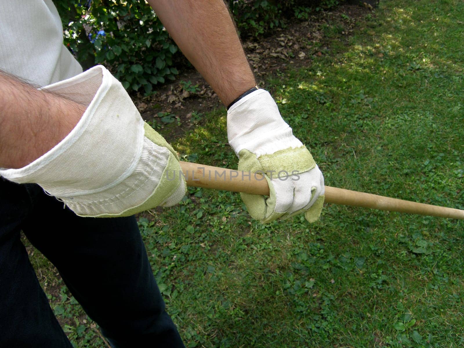 GLOVES