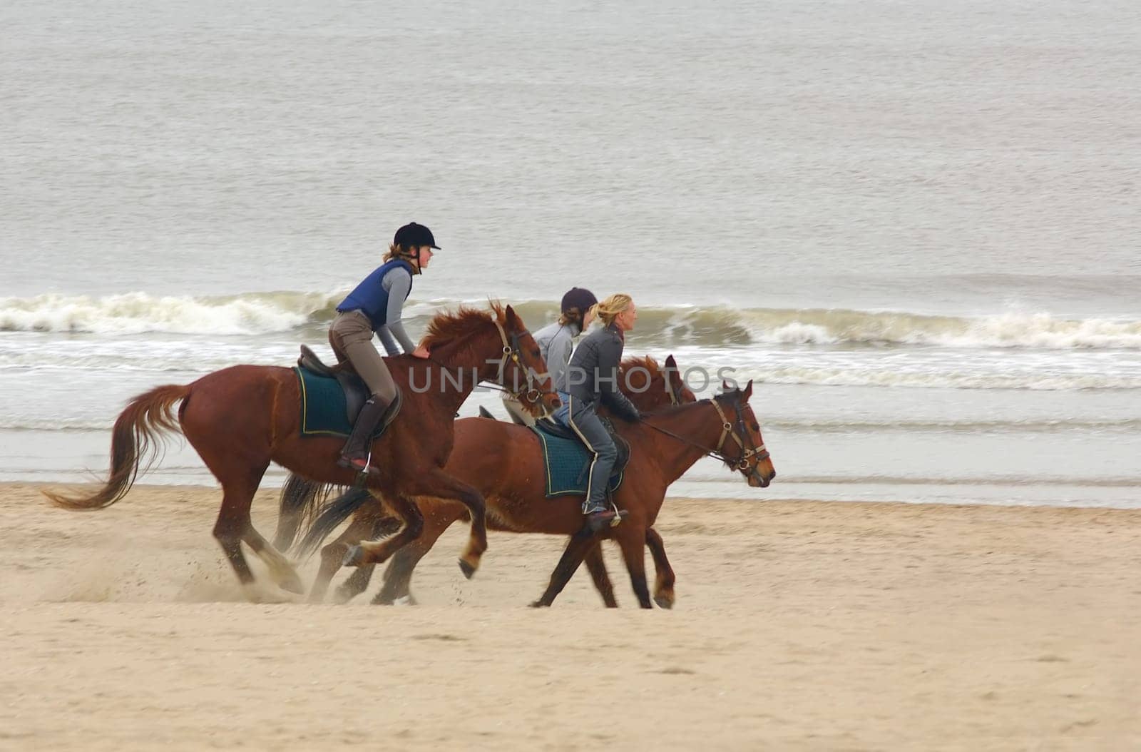 Amazons by the sea