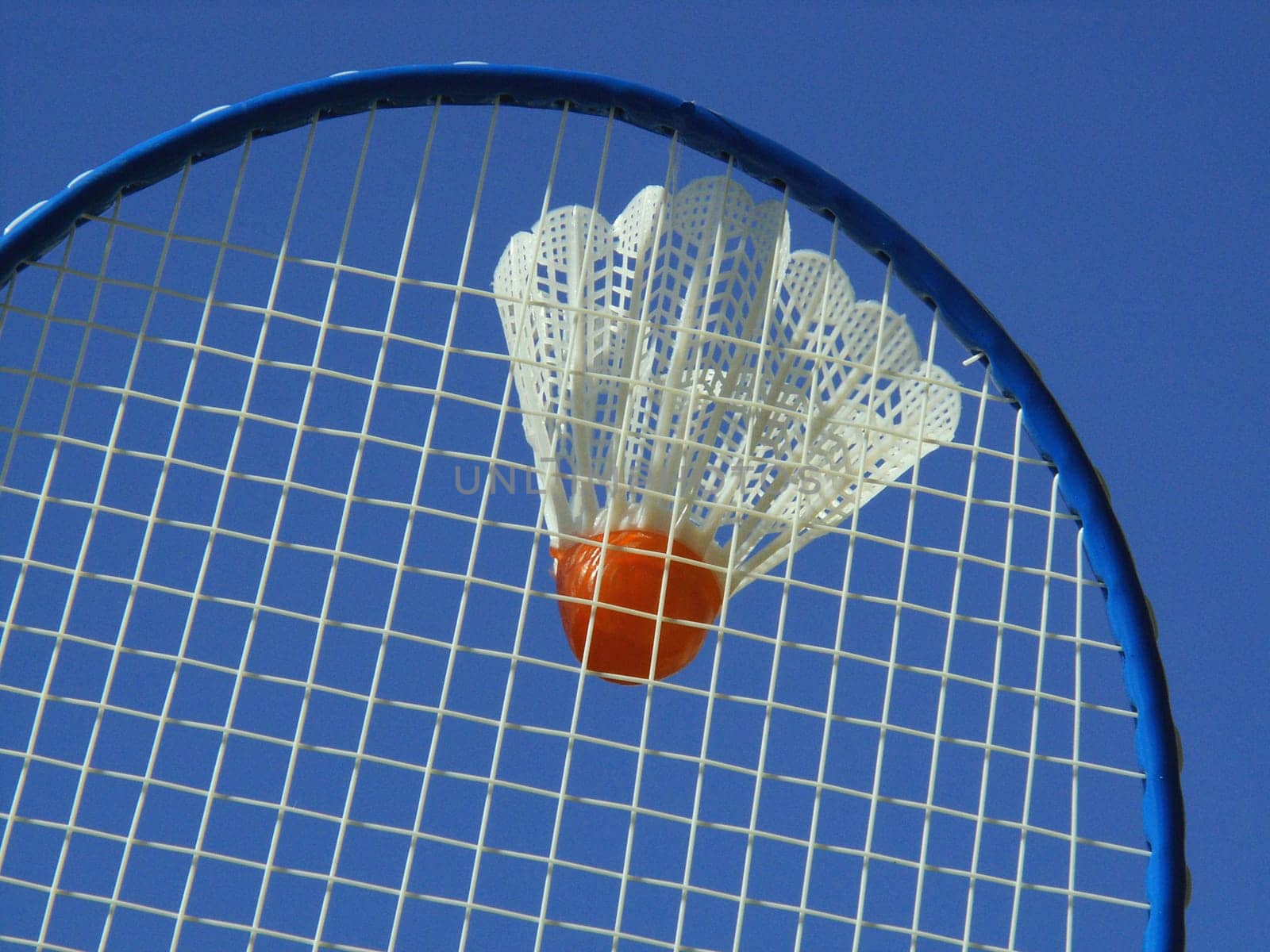 Shuttlecock