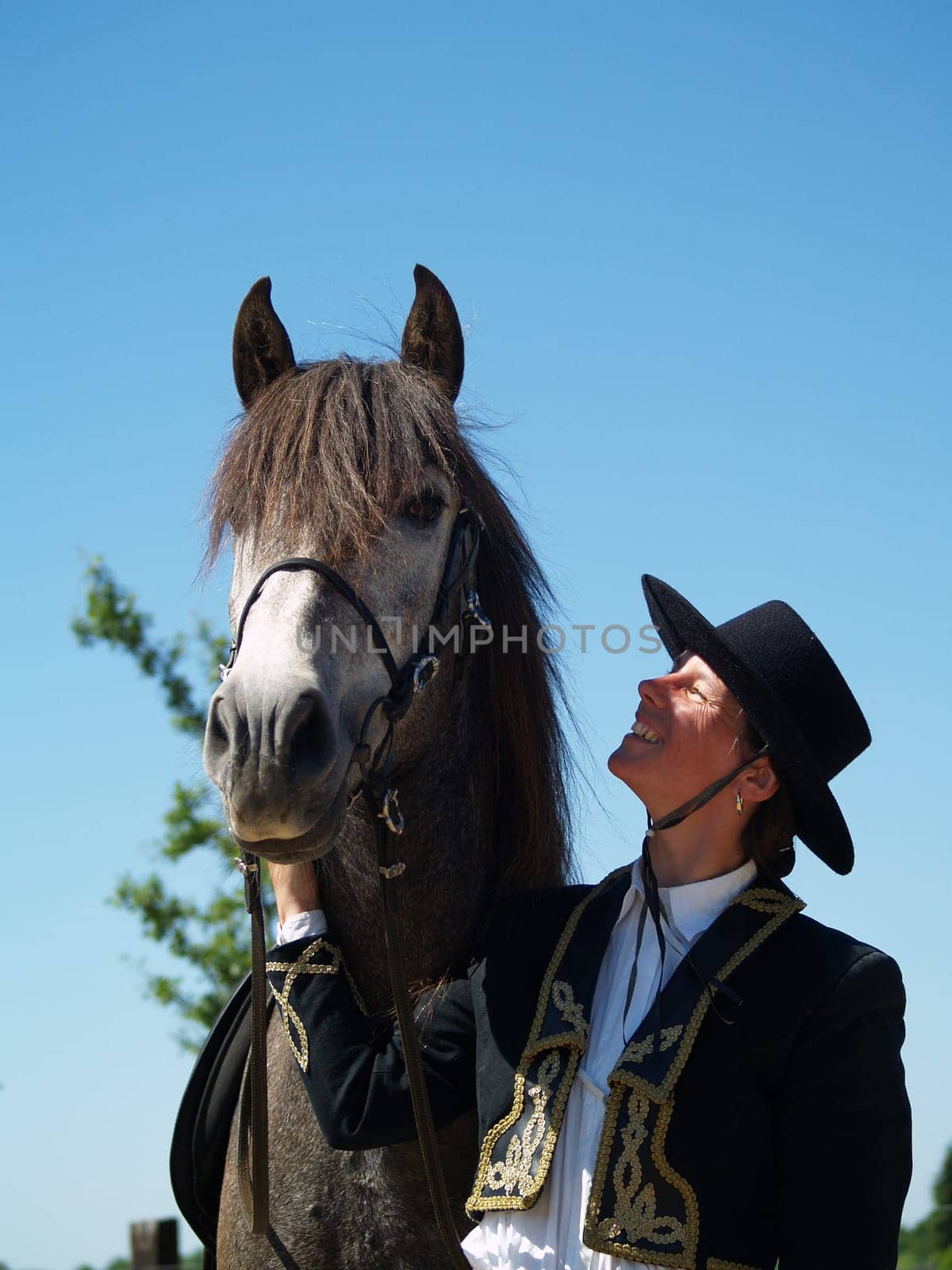 Puro Gozo is the name of the horse. A 5 year old licensed PRE stallion. This photo was taken during a shoot on 11.06.2006  PURO GOZO means pure joy Date of birth: 10.04.2001 Pura Raza Espanola licensed stallion Mould