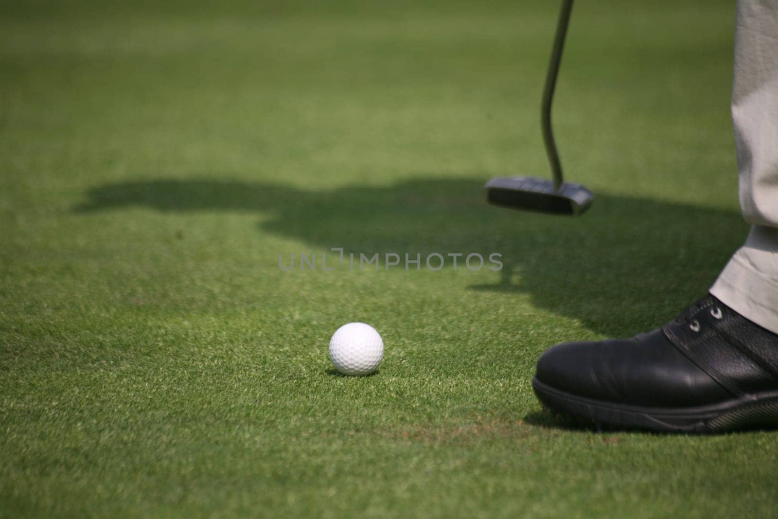 Golfers putting