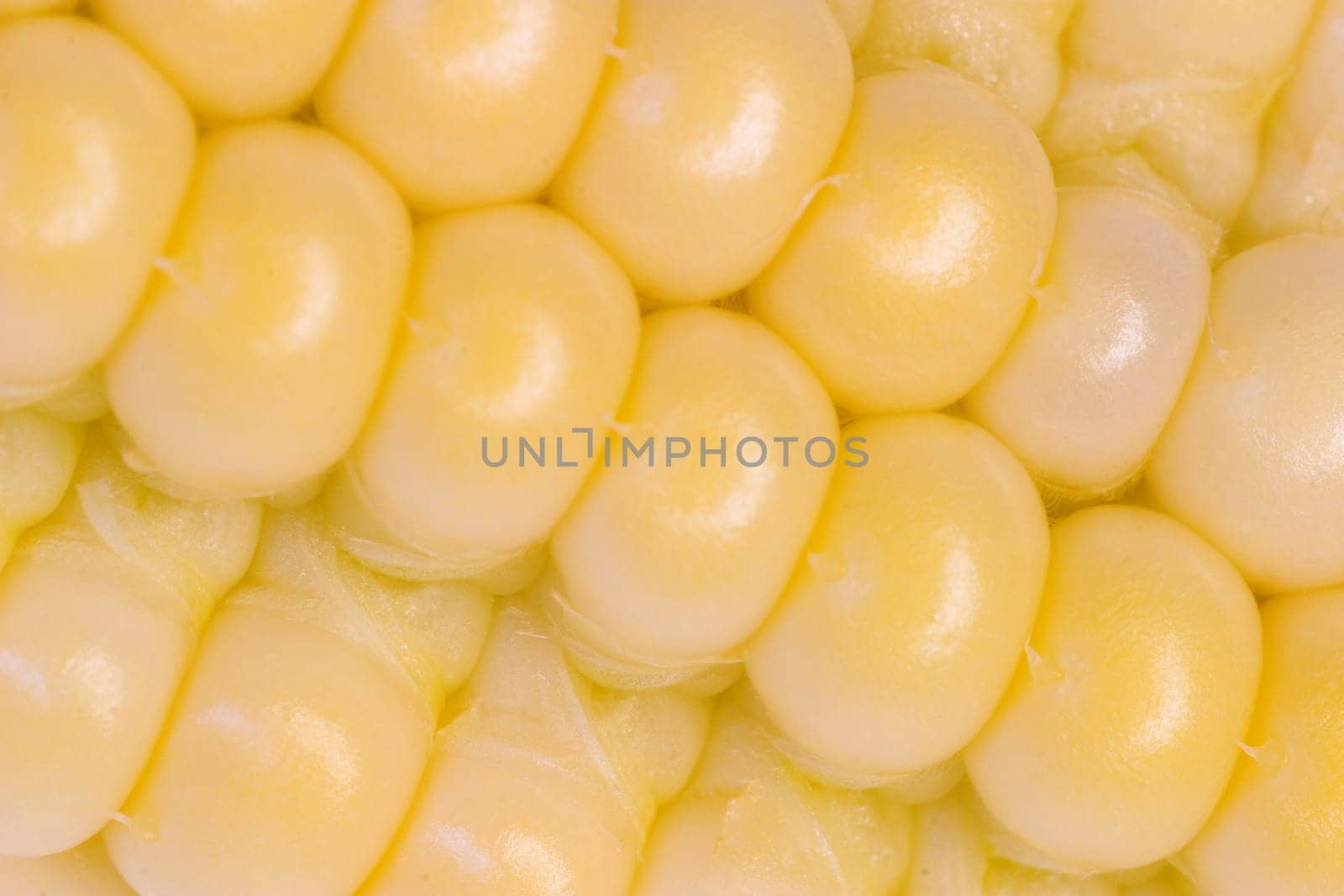 Corn