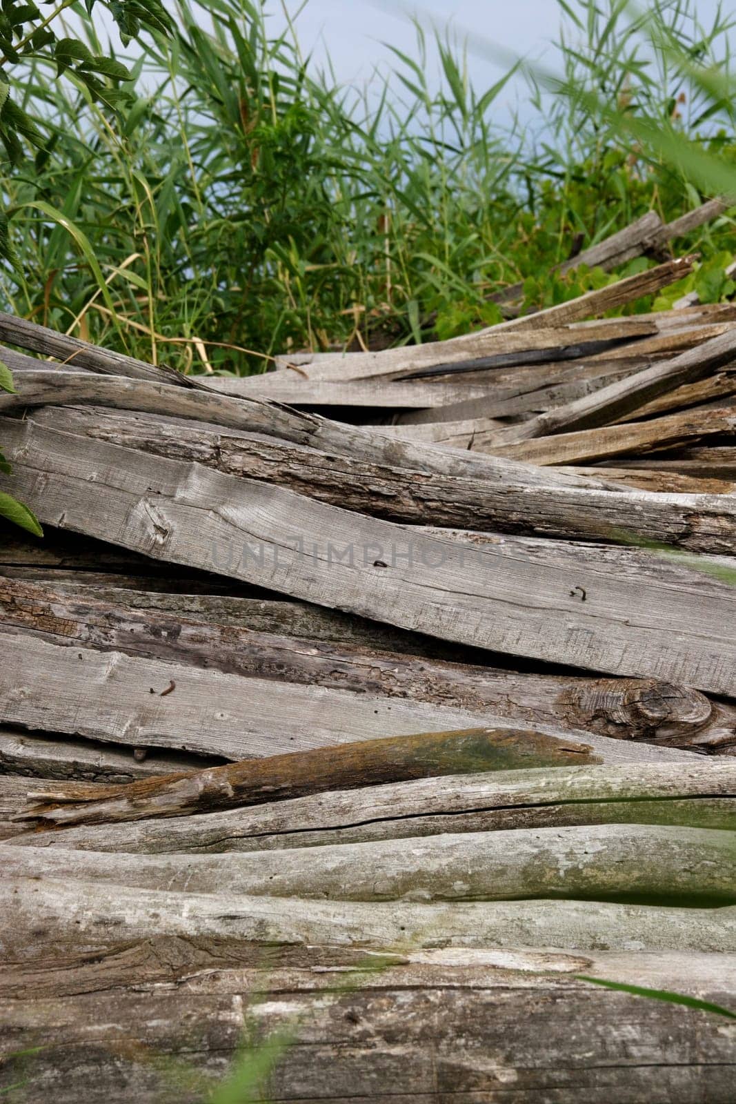 Woodpile 2