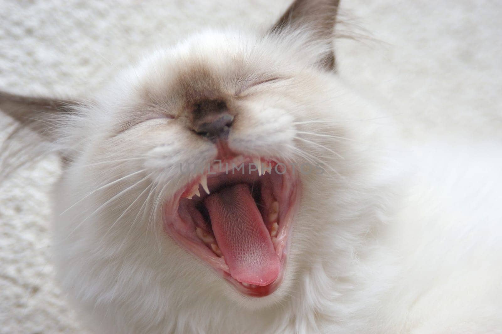 Yawn!  Thank goodness the weekend will soon be over!