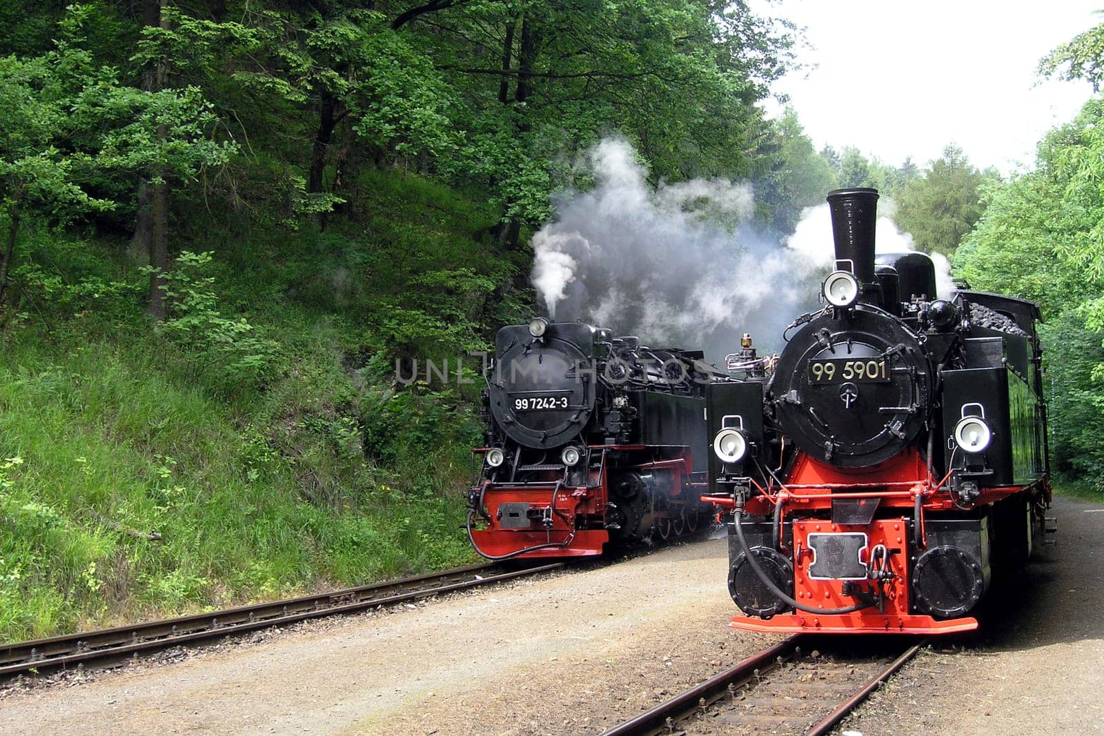 At the train station - Steinerne Renne - in the Harz Mountains