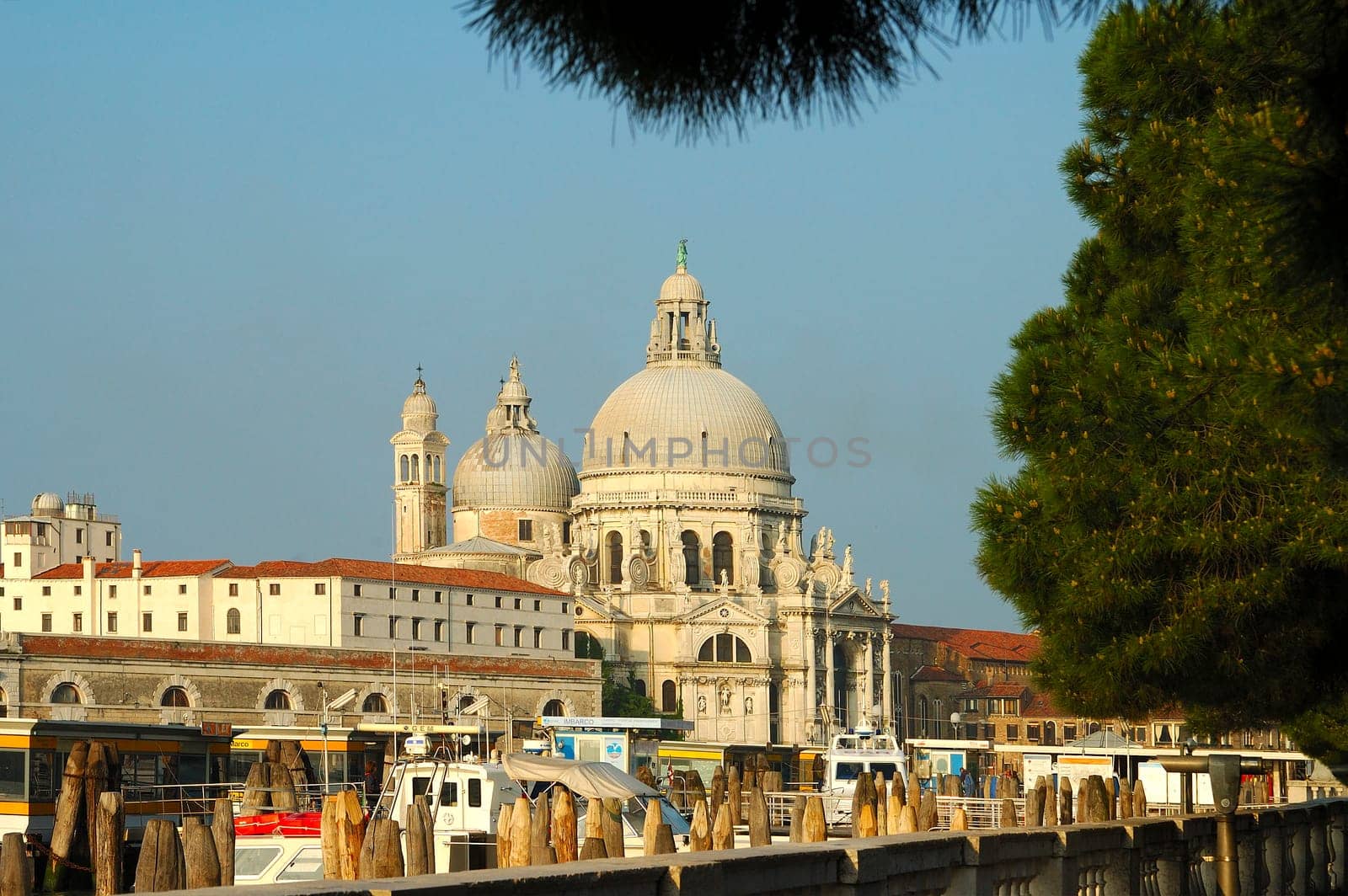 Basilica of Santa Maria della Salute on the Grand Canal,Venice,Italy