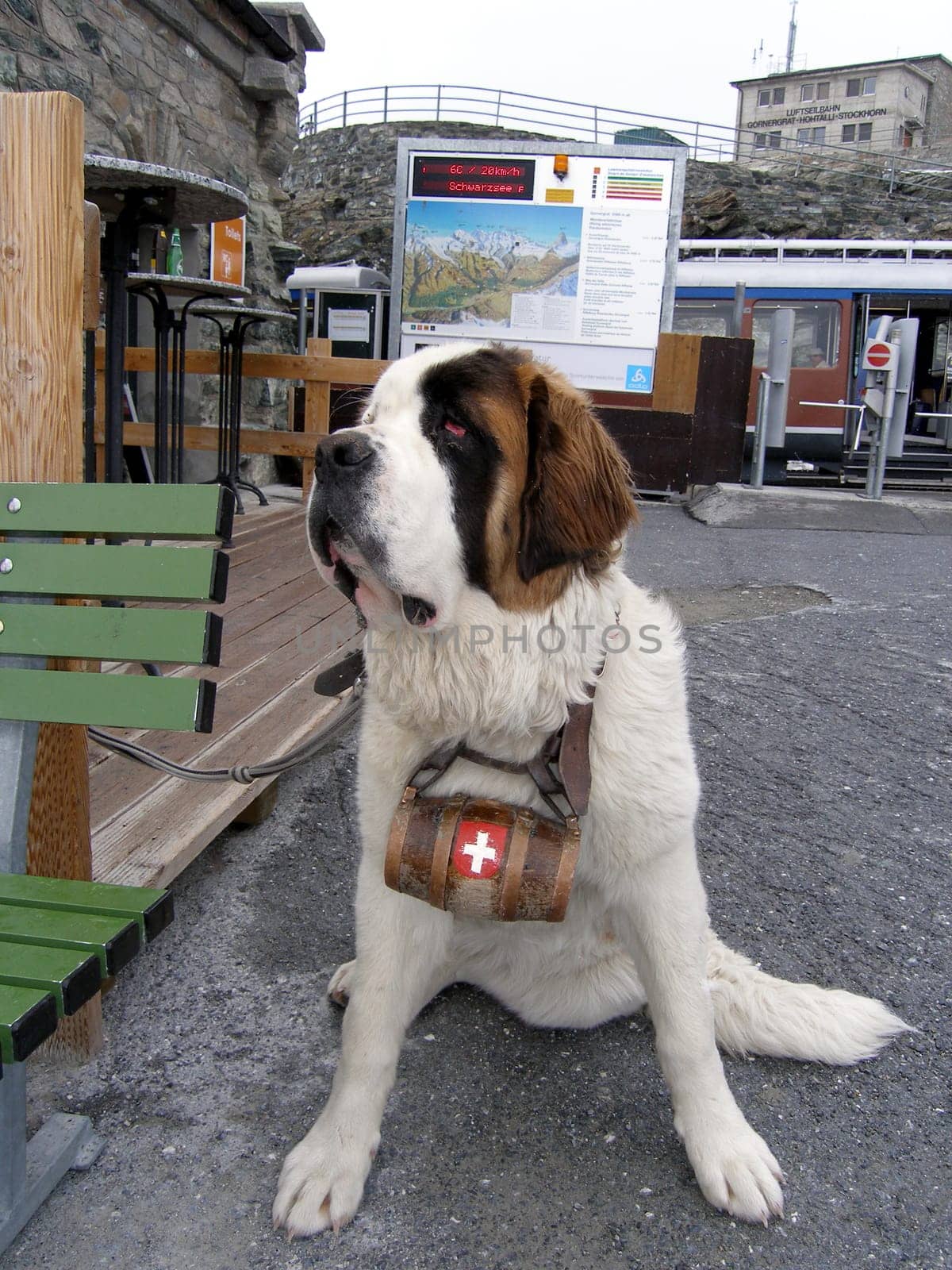 At the Gornergrat cable car