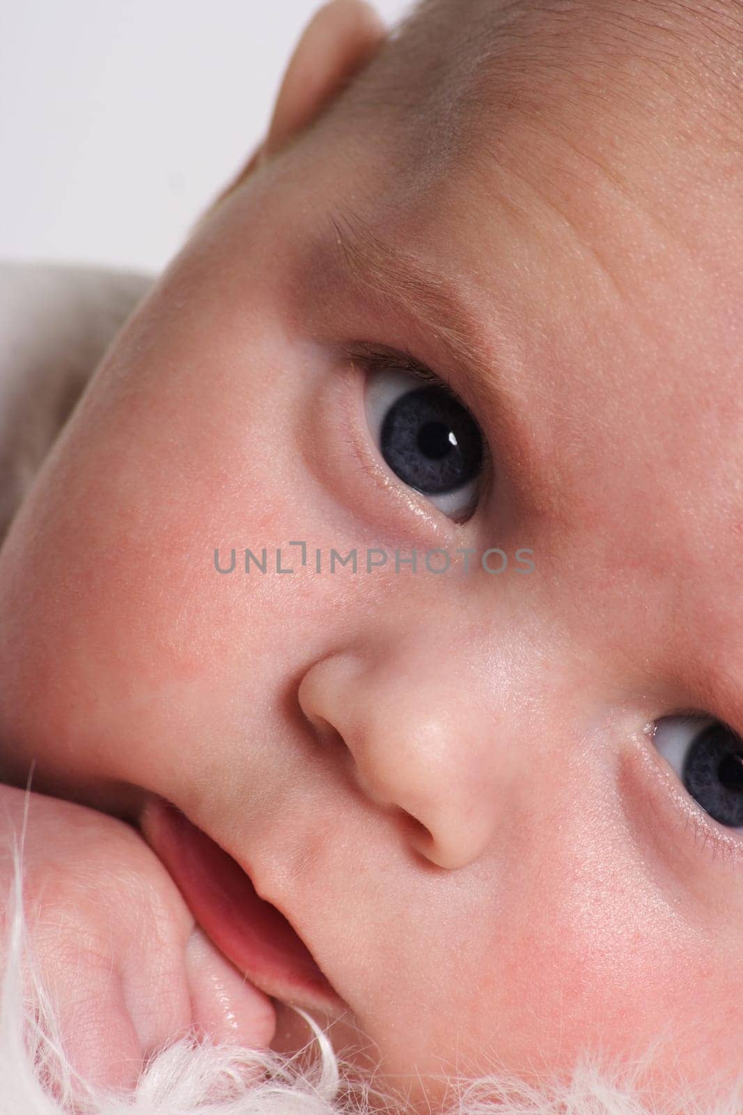 Bran baby lies on a fur and looks closely into the camera